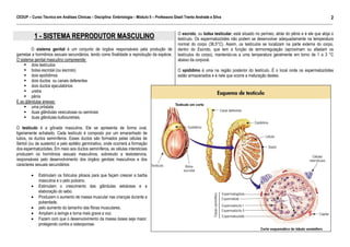 CEDUP – Curso Técnico em Análises Clínicas – Disciplina: Embriologia – Módulo II – Professora Giseli Trento Andrade e Silva
2
___________________________________________________________________________________________________________________________________________

1 - SISTEMA REPRODUTOR MASCULINO
O sistema genital é um conjunto de órgãos responsáveis pela produção de
gametas e hormônios sexuais secundários, tendo como finalidade a reprodução da espécie.
O sistema genital masculino compreende:
dois testículos
bolsa escrotal (ou escroto)
dois epidídimos
dois ductos ou canais deferentes
dois ductos ejaculatórios
uretra
pênis
E as glândulas anexas:
uma próstata
duas glândulas vesiculosas ou seminais
duas glândulas bulbouretrais.
O testículo é a gônada masculina. Ele se apresenta de forma oval,
ligeiramente achatado. Cada testículo é composto por um emaranhado de
tubos, os ductos seminíferos. Esses ductos são formados pelas células de
Sértoli (ou de sustento) e pelo epitélio germinativo, onde ocorrerá a formação
dos espermatozóides. Em meio aos ductos seminíferos, as células intersticiais
produzem os hormônios sexuais masculinos, sobretudo a testosterona,
responsáveis pelo desenvolvimento dos órgãos genitais masculinos e dos
caracteres sexuais secundários:
•
•
•
•
•
•

Estimulam os folículos pilosos para que façam crescer a barba
masculina e o pelo pubiano.
Estimulam o crescimento das glândulas sebáceas e a
elaboração do sebo.
Produzem o aumento de massa muscular nas crianças durante a
puberdade,
pelo aumento do tamanho das fibras musculares.
Ampliam a laringe e torna mais grave a voz.
Fazem com que o desenvolvimento da massa óssea seja maior,
protegendo contra a osteoporose.

O escroto, ou bolsa testicular, está situado no períneo, atrás do pênis e é ele que aloja o
testículo. Os espermatozóides não podem se desenvolver adequadamente na temperatura
normal do corpo (36,5°C). Assim, os testículos se localizam na parte externa do corpo,
dentro do Escroto, que tem a função de termorregulação (aproximam ou afastam os
testículos do corpo), mantendo-os a uma temperatura geralmente em torno de 1 a 3 °C
abaixo da corporal.
O epidídimo é uma na região posterior do testículo. É o local onde os espermatozóides
estão armazenados e é nele que ocorre a maturação destes.

 