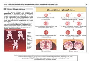 CEDUP – Curso Técnico em Análises Clínicas – Disciplina: Embriologia – Módulo II – Professora Giseli Trento Andrade e Silva
20
___________________________________________________________________________________________________________________________________________

8.3 – Gêmeos xifópagos (siameses)
Os gêmeos xifópagos, ou siameses, são
monozigóticos, ou seja, formados a partir do mesmo zigoto.
Porém nesse caso, o disco embrionário não chega a se dividir por
completo, produzindo gêmeos que estarão ligados por uma parte
do corpo, ou têm uma parte do corpo comum aos dois. O embrião
de gêmeos xifópagos é, então, constituído de apenas uma massa
celular, sendo desenvolvido na mesma placenta, com o mesmo
saco aminiótico.
Num outro tipo de gêmeos xifópagos (hoje sabidamente
mais comum) a união acontece depois, ou seja, são gêmeos
idênticos separados que se unem em alguma fase da gestação
por partes semelhantes: cabeça com cabeça; abdômen com
abdômen; nádegas com nádegas, etc.
Quando
vemos
alguma
notícia de
gêmeos que
foram
"separados"
por cirurgia,
trata-se,
quase
sempre, de
um caso
destes.

O termo "siameses" originou-se de uma famosa ocorrência registrada desse fenômeno: os gêmeos Chang e Eng,
que nasceram no Sião, Tailândia, em 1811, colados pelo ombro. Eles casaram, tiveram 22 filhos e
permaneceram unidos até o fim de seus dias.

 