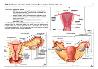 CEDUP – Curso Técnico em Análises Clínicas – Disciplina: Embriologia – Módulo II – Professora Giseli Trento Andrade e Silva
7
___________________________________________________________________________________________________________________________________________

O útero também apresenta três camadas;
• Endométrio ou interna: região que é preparada para a implantação do
óvulo fecundado, sendo assim, sofre modificações com a fase do ciclo
menstrual, uterino ou na gravidez;
• Miométrio ou média: camada constituída por fibras musculares lisas; é
também a camada mais espessa, sendo responsável pelas contrações
(devido ao músculo liso);
• Paramétrio ou externa: constituída pelo peritônio, envolvendo
externamente o útero.
É importante destacar que, o endométrio, mensalmente, prepara-se para receber o óvulo
fecundado, como dito anteriormente, dessa forma, ocorre aumento de seu volume com
formação muitas redes capilares. Caso não ocorra a fecundação, essa camada do
endométrio sofre descamação, com hemorragia; logo, a eliminação sangüínea ocorre pela
vagina. Esse fenômeno recebe o nome de menstruação.

Útero e
anexos

 