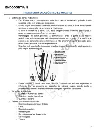 ENDODONTIA II 
7 
TRATAMENTO ENDODÔNTICO EM MOLARES 
o Sistema de canais radiculares: 
Erro: Pensar que o cimento quanto mais fluido melhor, está errado, pois ele fica só na coroa e não tem força para extravasar. 
O coto pulpar é quando há uma instrumentação além do ápice, e é um tecido que se removido e selado, ele vai se recuperar novamente. 
O ideal é obturar até o ápice. Mas, deve chegar apenas o cimento até o ápice, a guta-percha deve sempre ficar 1mm aquém. 
Ramificação do canal principal: A comunicação entre a polpa e os tecidos periodontais pode ocorrer por meio de canais laterais, secundários ou acessórios. A presença de canais laterais contaminados e não preenchidos pela obturação pode ocasionar e perpetuar uma lesão periodontal. 
Uma boa instrumentação, irrigação e uma boa técnica de obturação são importantes para limpar as ramificações. 
Existe também o canal cavo inter radicular, presente em molares superiores e inferiores. Ele se encontra no assoalho da câmara pulpar, saindo deste e percorrendo a dentina inter radicular até alcançar o ligamento periodontal. 
o Variações anatômicas: 
Quanto ao número de canais 
Quanto à direção das raízes 
Quanto ao calibre 
o Fatores que alteram a anatomia: 
Modificações relacionadas à idade 
Cárie 
Desgastes dentais 
Reabsorções 
Deposição anormal de cemento 
Calcificações 
Trauma 
 