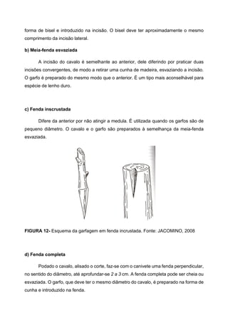 forma de bisel e introduzido na incisão. O bisel deve ter aproximadamente o mesmo
comprimento da incisão lateral.

b) Meia-fenda esvaziada

      A incisão do cavalo é semelhante ao anterior, dele diferindo por praticar duas
incisões convergentes, de modo a retirar uma cunha de madeira, esvaziando a incisão.
O garfo é preparado do mesmo modo que o anterior. É um tipo mais aconselhável para
espécie de lenho duro.




c) Fenda inscrustada

      Difere da anterior por não atingir a medula. É utilizada quando os garfos são de
pequeno diâmetro. O cavalo e o garfo são preparados à semelhança da meia-fenda
esvaziada.




FIGURA 12- Esquema da garfagem em fenda incrustada. Fonte: JACOMINO, 2008




d) Fenda completa

      Podado o cavalo, alisado o corte, faz-se com o canivete uma fenda perpendicular,
no sentido do diâmetro, até aprofundar-se 2 a 3 cm. A fenda completa pode ser cheia ou
esvaziada. O garfo, que deve ter o mesmo diâmetro do cavalo, é preparado na forma de
cunha e introduzido na fenda.
 