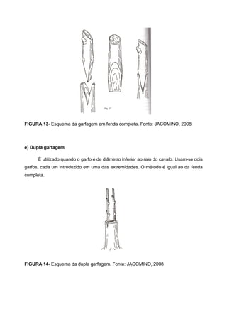 FIGURA 13- Esquema da garfagem em fenda completa. Fonte: JACOMINO, 2008




e) Dupla garfagem

      É utilizado quando o garfo é de diâmetro inferior ao raio do cavalo. Usam-se dois
garfos, cada um introduzido em uma das extremidades. O método é igual ao da fenda
completa.




FIGURA 14- Esquema da dupla garfagem. Fonte: JACOMINO, 2008
 