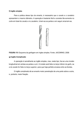 f) Inglês simples

       Para a prática desse tipo de enxerto, é necessário que o cavalo e o cavaleiro
apresentem o mesmo diâmetro. A operação é bastante fácil e consiste tão-somente no
corte em bisel do cavalo e no cavaleiro. Unem-se as partes e em seguir amarram-se.




FIGURA 15- Esquema da garfagem em ingles simples. Fonte: JACOMINO, 2008

g) Inglês Complicado

       A operação é semelhante ao inglês simples, mas, neste tipo, faz-se uma incisão
longitudinal em ambas as partes a unir. A incisão será feita no terço inferior do garfo, se
a do cavalo for feita no terço superior, para que haja perfeito encaixe entre as fendas.

       O inglês complicado dá ao enxerto maior penetração de uma parte sobre a outra,
e, portanto, maior fixação.
 