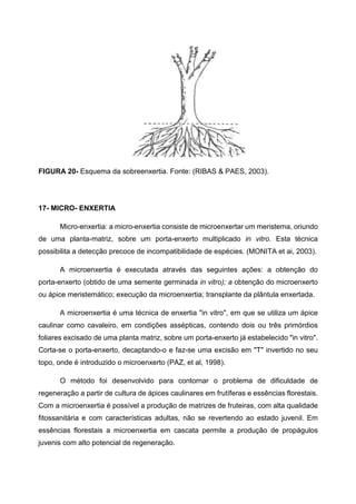 FIGURA 20- Esquema da sobreenxertia. Fonte: (RIBAS & PAES, 2003).




17- MICRO- ENXERTIA

      Micro-enxertia: a micro-enxertia consiste de microenxertar um meristema, oriundo
de uma planta-matriz, sobre um porta-enxerto multiplicado in vitro. Esta técnica
possibilita a detecção precoce de incompatibilidade de espécies. (MONITA et ai, 2003).

      A microenxertia é executada através das seguintes ações: a obtenção do
porta-enxerto (obtido de uma semente germinada in vitro); a obtenção do microenxerto
ou ápice meristemático; execução da microenxertia; transplante da plântula enxertada.

      A microenxertia é uma técnica de enxertia "in vitro", em que se utiliza um ápice
caulinar como cavaleiro, em condições assépticas, contendo dois ou três primórdios
foliares excisado de uma planta matriz, sobre um porta-enxerto já estabelecido "in vitro".
Corta-se o porta-enxerto, decaptando-o e faz-se uma excisão em "T" invertido no seu
topo, onde é introduzido o microenxerto (PAZ, et al, 1998).

      O método foi desenvolvido para contornar o problema de dificuldade de
regeneração a partir de cultura de ápices caulinares em frutíferas e essências florestais.
Com a microenxertia é possível a produção de matrizes de fruteiras, com alta qualidade
fitossanitária e com características adultas, não se revertendo ao estado juvenil. Em
essências florestais a microenxertia em cascata permite a produção de propágulos
juvenis com alto potencial de regeneração.
 