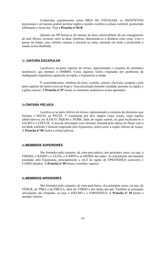 Conhecidos popularmente como BICO DE PAPAGAIO, os OSTEÓFITOS
pressionam e até mesmo podem perfurar órgãos e tecidos vizinhos à coluna vertebral, produzindo
inflamação e muita dor. Veja a Prancha nº 06-B.
Quando um NP hernia-se do interior do disco intervertebral, há um esmagamento
do anel fibroso existente entre as duas vértebras, diminuindo-se a distância entre estas. Com o
passar do tempo, uma vértebra começa a encostar na outra, entrando em atrito e produzindo a
reação acima detalhada.
2) CINTURA ESCAPULAR
Localiza-se na parte superior do tronco, representando o conjunto de elementos
anatômicos que formam o OMBRO. Como algumas lesões originadas por problemas de
inadequação ergonômica aparecem na região, a Ergonomia a estuda.
É constituída pelas vértebras do tórax, costelas, esterno, clavícula, escápula e pela
parte superior do úmero (osso do braço). Uma articulação bastante estudada, presente na região, é
a gleno-umeral. A Prancha nº 07 ilustra os elementos anatômicos acima apontados.
3) CINTURA PÉLVICA
Localiza-se na parte inferior do tronco, representando o conjunto de elementos que
formam a BACIA ou PELVE. É constituída por dois amplos ossos coxais, cujas regiões
subdividem-se em ILÍACO, ÍSQUIO e PÚBIS, além da região central, na qual localizam-se o
SACRO e o CÓCCIX. A área da articulação coxo-femoral, formada pela cabeça do fêmur com a
cavidade cotilóide é bastante pequisada pela Ergonomia, assim como a região inferior do ísquio.
A Prancha nº 08 ilustra a cintura pélvica.
4) MEMBROS SUPERIORES
São formados pelo conjunto, de cima para abaixo, dos principais ossos, ou seja, o
ÚMERO, o RÁDIO e o ULNA, o CARPO e os DEDOS das mãos. As articulações são bastante
estudadas pela Ergonomia, principalmente a nível da região do EPICÔNDILO (cotovelo) e
CARPO (punho). A Prancha nº 09 ilustra o membro superior.
5) MEMBROS INFERIORES
São formados pelo conjunto, de cima para baixo, dos principais ossos, ou seja, do
FÊMUR, da TÍBIA e da FÍBULA, além do TARSO e dos dedos dos pés. Também as principais
articulações são estudadas, ou seja, o JOELHO e o TORNOZELO. A Prancha nº 10 ilustra o
membro inferior.
11
 