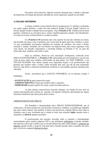 Das partes acima descritas, algumas merecem destaque para o estudo e aplicação
da Ergonomia, em função das posturas adotadas por nosso organismo, quando em atividade.
1) COLUNA VERTEBRAL
A coluna vertebral é uma estrutura flexível composta por 33 vértebras, localizadas
em quatro regiões distintas, a saber (de cima p/baixo): Região Cervical, Região Toráxica ou
Dorsal, Região Lombar e Região Sacro-coccigeana. Veja a Prancha nº 02. Também através desta
prancha, verificam-se as curvaturas que a coluna vertebral apresenta, quando vista lateralmente:
A Lordose Cervical, a Cifose Dorsal e a Lordose Lombar.
Já a Prancha nº 03 apresenta uma vista superior de uma das vértebras da coluna,
sub-dividida em corpo e asas. O primeiro serve como base de apoio entre uma vértebra e a outra.
As asas, possibilitam movimentos múltiplos do conjunto de vértebras, tais como a flexão,
extensão e rotação, limitando tais movimentos em ângulos-limite, para nossa segurança. Uma
vista lateral, em desenho esquemático, é mostrada também na Prancha nº 03, na qual são
observadas duas vértebras, uma sobre a outra.
Entre as vértebras, observa-se uma articulação cartilaginosa, conhecida como
DISCO INTERVERTEBRAL. A Prancha nº 04, representada por uma perspectiva, nos dá uma
visão do disco sobre uma vértebra, sub-dividido em duas partes: Um ANEL FIBROSO e um
NÚCLEO PULPOSO. Este último cumpre uma importante função, a de amortecimento das
pressões que incidem sobre a coluna, sendo auxiliado pelo anel, que lhe dá uma sustentação
flexível, cujas fibras se deslocam lateralmente conforme as necessidades posturais adotadas pelo
indivíduo.
Assim, percebemos que a COLUNA VERTEBRAL, no ser humano, cumpre 3
finalidades:
- SUSTENTAÇÃO da parte superior do corpo;
- AMORTECIMENTO de forças que incidem sobre o esqueleto;
- MOBILIDADE da parte superior do corpo, a partir da cintura pélvica.
As duas últimas características merecem destaque, em função de uma série de
reações apresentadas pelo sistema em questão e de algumas limitações apresentadas por alguns
elementos anatômicos que fazem parte deste sistema.
AMORTECIMENTO DE FORÇAS
Tal finalidade é desempenhada pelos DISCOS INTERVERTEBRAIS, que já
conhecemos. Os discos promovem uma proteção essencial às vértebras, na medida que impedem
que estas sofram fraturas. São também os discos que promovem a ligação fibrosa entre todas as
vértebras, uma à uma, auxiliando que a coluna se torne uma estrutura rígida, quando assim o
desejamos, ou flexível, quando necessário.
O amortecimento das pressões exercidas sobre o conjunto é desempenhado
essencialmente pelos núcleos pulposos (NP’s), que distribuem radialmente a pressão recebida.
Isto equivale a dizer que o núcleo, que se encontra dentro dos anéis, tende sempre a aumentar seu
diâmetro quando recebe a carga de cima para baixo, fazendo pressão sobre as paredes dos anéis
que o envolvem, enquanto diminui de altura.
08
 