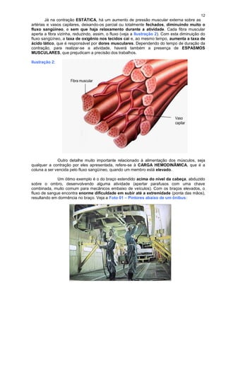 12
Já na contração ESTÁTICA, há um aumento de pressão muscular externa sobre as
artérias e vasos capilares, deixando-os parcial ou totalmente fechados, diminuindo muito o
fluxo sangüíneo, e sem que haja relaxamento durante a atividade. Cada fibra muscular
aperta a fibra vizinha, reduzindo, assim, o fluxo (veja a Ilustração 2). Com esta diminuição do
fluxo sangüíneo, a taxa de oxigênio nos tecidos cai e, ao mesmo tempo, aumenta a taxa de
ácido lático, que é responsável por dores musculares. Dependendo do tempo de duração da
contração, para realizar-se a atividade, haverá também a presença de ESPASMOS
MUSCULARES, que prejudicam a precisão dos trabalhos.
Ilustração 2:
Fibra muscular
Vaso
capilar
Outro detalhe muito importante relacionado à alimentação dos músculos, seja
qualquer a contração por eles apresentada, refere-se à CARGA HEMODINÂMICA, que é a
coluna a ser vencida pelo fluxo sangüíneo, quando um membro está elevado.
Um ótimo exemplo é o do braço estendido acima do nível da cabeça, abduzido
sobre o ombro, desenvolvendo alguma atividade (apertar parafusos com uma chave
combinada, muito comum para mecânicos embaixo de veículos). Com os braços elevados, o
fluxo de sangue encontra enorme dificuldade em subir até a extremidade (ponta das mãos),
resultando em dormência no braço. Veja a Foto 01 – Pintores abaixo de um ônibus:
 