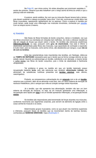 13
Na Foto 01, que vimos acima, há várias situações que promovem seqüelas à
saúde dos pintores. Observe que eles trabalham com o braço acima da linha do ombro e que o
pescoço está em extensão.
A postura, sendo estática, faz com que os músculos fiquem tensos todo o tempo,
pois devem sustentar a cabeça na posição “para cima”. Com isto, acumula-se o ácido lático nas
fibras musculares, aparecendo rapidamente dor no pescoço. Como a postura é mantida por
muito tempo, pode surgir uma inflamação nos músculos envolvidos, conhecida por miosite.
Com os braços ocorre o mesmo.
4) TENDÕES
São feixes de fibras formadas de tecido conjuntivo, denso e modelado, vez que
tais fibras encontram-se orientadas em direções bem definidas, de modo a oferecer resistência
alta em relação às forças que atuam sobre o tecido. Os tendões são estruturas anatômicas
VISCO-ELÁSTICAS, ou seja, possuem certo grau de elasticidade, mas este é inferior à
elasticidade apresentada pelas fibras dos músculos, cuja capacidade de contração e expansão
é muito maior, pois os músculos, como acima vimos, são abastecidos por sangue, o que não se
dá com os tendões.
Uma das características mais importantes dos tendões, em fisiologia, refere-se
ao TEMPO DE REPOUSO necessário para que o tecido que os forma consiga retornar ao seu
estado natural. Quando se sobrecarrega um tendão, solicitando-o em demasia, o mesmo tende
a sofrer lesões nas fibras do tecido conjuntivo, pois o limite de elasticidade é facilmente
ultrapassado.
Tal problema é grave na medida em que um tendão lesionado possui
recuperação bastante lenta, pois são estruturas que recebem alimentação indireta (se
alimentam de substâncias nutritivas presentes em tecidos vizinhos, este últimos,
vasoirrigados).
Portanto, se compararmos a alimentação de um músculo com a de um tendão,
veremos que o primeiro, além de se alimentar muito bem, tem um ótimo sistema de remoção de
resíduos metabólicos, pois o sangue que volta ao coração carrega várias impurezas.
Já o tendão, que não apresenta boa alimentação, também não tem um bom
sistema de remoção de resíduos, ou seja, se um músculo apresentar uma inflamação, a
recuperação será rápida (em dias) e se um tendão apresentar inflamação, a recuperação levará
meses.
Os tendões são responsáveis pela transmissão de forças atuantes nos músculos,
conferindo movimento aos segmentos corporais, pois servem de elemento de ligação entre o
corpo central do músculo e os ossos.
Determinados grupos musculares, como os que atuam nos membros superiores
e inferiores, possuem feixes de tendões que se movimentam dentro de bainhas (túneis),
conhecidas por BAINHAS SINOVIAIS. Veja a Ilustração 3:
 