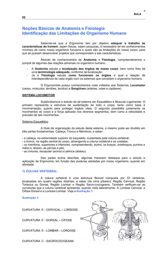 4
AULA
02
Noções Básicas de Anatomia e Fisiologia
Identificação das Limitações do Organismo Humano
Sabendo-se que a Ergonomia tem por objetivo adequar o trabalho às
características do homem, sejam físicas, sejam psíquicas, é necessário ter-se conhecimentos
mínimos de como nosso organismo funciona e quais são as limitações do nosso corpo, para
que se possam desenvolver projetos que correspondam a tais características.
Através de conhecimentos de Anatomia e Fisiologia, compreenderemos o
porquê de algumas das reações adversas no organismo humano.
- A Anatomia estuda a localização dos órgãos de nosso corpo, bem como lhes dá
uma terminologia adequada, conforme tal localização.
- Já a Fisiologia estuda como funcionam os órgãos e qual a relação de
interdependência de cada órgão com os sistemas que compõem o organismo humano.
O Ergonomista possui conhecimentos mais voltados aos Sistemas Locomotor
(ossos, músculos, tendões, tecidos) e Sangüíneo (artérias, veias e capilares).
SISTEMA LOCOMOTOR
Subdividiremos o estudo de tal sistema em Esquelético e Músculo-Ligamentar. O
primeiro representa a estrutura de sustentação de todo o corpo, tanto como base à
movimentação, quanto para proteger órgãos vitais. O segundo possibilita justamente os
movimentos do corpo e a força aplicada nos diversos segmentos, bem como a velocidade e
precisão de tais movimentos.
Sistema Esquelético
A título de organização do estudo deste sistema, o mesmo pode ser dividido em
três partes fundamentais: Cabeça, Tronco e Membros, a saber:
- a cabeça, na extremidade superior do esqueleto, sustentada pela coluna vertebral;
- o tronco, na região central do corpo, abrangendo a coluna vertebral e as costelas;
- os membros, superiores e inferiores, compreendendo, acima, os braços, antebraços, punhos e
mãos e, abaixo, as pernas e pés;
- as cinturas, escapular (acima) e pélvica (abaixo).
Das partes acima descritas, algumas merecem destaque para o estudo e
aplicação da Ergonomia, em função das posturas adotadas por nosso organismo, quando em
atividade.
1) COLUNA VERTEBRAL
A coluna vertebral é uma estrutura flexível composta por 33 vértebras,
localizadas em quatro regiões distintas, a saber (de cima p/baixo): Região Cervical, Região
Toráxica ou Dorsal, Região Lombar e Região Sacro-coccigeana. Também verificam-se as
curvaturas que a coluna vertebral apresenta, quando vista lateralmente: A Lordose Cervical, a
Cifose Dorsal e a Lordose Lombar. Veja a Ilustração 1:
Ilustração 1:
CURVATURA  - CERVICAL – LORDOSE
CURVATURA  - DORSAL – CIFOSE
CURVATURA  - LOMBAR – LORDOSE
CURVATURA  - SACROCOCIGEANA
 