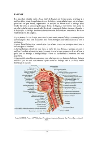 16
FARINGE
É a cavidade situada entre a boca (raiz da língua), as fossas nasais, a laringe e o
esôfago. O ar, vindo dos pulmões através da laringe, passa pela faringe e sai pela boca,
pelo nariz ou por ambos, dependendo da posição do palato mole. A faringe pode
mudar de forma e tamanho pelo recuo da raiz da língua, o movimento para cima ou
para baixo da laringe ou a contração da parede posterior da faringe durante a fonação e
a deglutição. A faringe funciona como ressonador, influindo na ressonância dos sons
vocálicos (sons das vogais).
A porção superior da faringe, denominada parte nasal ou nasofaringe, tem as seguintes
comunicações: duas com as coanas, dois óstios faringeos das tubas auditivas e com a
orofaringe.
A parte da orofaringe tem comunicação com a boca e serve de passagem tanto para o
ar como para o alimento.
A laringofaringe estende-se para baixo a partir do osso hióide, e conecta-se com o
esôfago (canal do alimento) e posteriormente com a laringe (passagem de ar). Como a
parte oral da faringe, a laringofaringe é uma via respiratória e também uma via
digestória.
A tuba auditiva também se comunica com a faringe através do ósteo faríngico da tuba
auditiva, que por sua vez conecta a parte nasal da farínge com a cavidade média
timpânica do ouvido.
Fonte: NETTER, Fonte: NETTER, Frank H.. Atlas de Anatomia Humana. 2ed. Porto Alegre: Artmed,
2000.
 