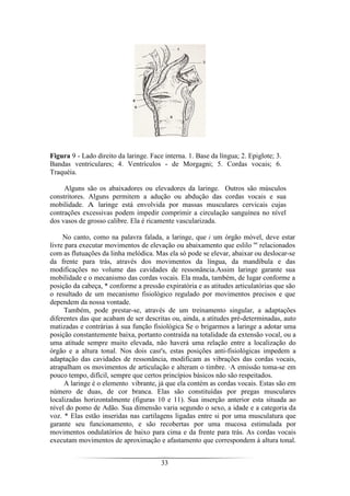33
Figura 9 - Lado direito da laringe. Face interna. 1. Base da língua; 2. Epiglote; 3.
Bandas ventriculares; 4. Ventrículos - de Morgagni; 5. Cordas vocais; 6.
Traquéia.
Alguns são os abaixadores ou elevadores da laringe. Outros são músculos
constritores. Alguns permitem a adução ou abdução das cordas vocais e sua
mobilidade. A laringe está envolvida por massas musculares cervicais cujas
contrações excessivas podem impedir comprimir a circulação sanguínea no nível
dos vasos de grosso calibre. Ela é ricamente vascularizada.
No canto, como na palavra falada, a laringe, que é :um órgão móvel, deve estar
livre para executar movimentos de elevação ou abaixamento que eslilo '" relacionados
com as flutuações da linha melódica. Mas ela só pode se elevar, abaixar ou deslocar-se
da frente para trás, através dos movimentos da língua, da mandíbula e das
modificações no volume das cavidades de ressonância.Assim laringe garante sua
mobilidade e o mecanismo das cordas vocais. Ela muda, também, de lugar conforme a
posição da cabeça, * conforme a pressão expiratória e as atitudes articulatórias que são
o resultado de um mecanismo fisiológico regulado por movimentos precisos e que
dependem da nossa vontade.
Também, pode prestar-se, através de um treinamento singular, a adaptações
diferentes das que acabam de ser descritas ou, ainda, a atitudes pré-determinadas, auto
matizadas e contrárias à sua função fisiológica Se o brigarmos a laringe a adotar uma
posição constantemente baixa, portanto contraída na totalidade da extensão vocal, ou a
uma atitude sempre muito elevada, não haverá uma relação entre a localização do
órgão e a altura tonal. Nos dois casr's, estas posições anti-fisiológicas impedem a
adaptação das cavidades de ressonância, modificam as vibrações das cordas vocais,
atrapalham os movimentos de articulação e alteram o timbre. ·A emissão toma-se em
pouco tempo, difícil, sempre que certos princípios básicos não são respeitados.
A laringe é o elemento vibrante, já que ela contém as cordas vocais. Estas são em
número de duas, de cor branca. Elas são constituídas por pregas musculares
localizadas horizontalmente (figuras 10 e 11). Sua inserção anterior esta situada ao
nível do pomo de Adão. Sua dimensão varia segundo o sexo, a idade e a categoria da
voz. * Elas estão inseridas nas cartilagens ligadas entre si por uma musculatura que
garante seu funcionamento, e são recobertas por uma mucosa estimulada por
movimentos ondulatórios de baixo para cima e da frente para trás. As cordas vocais
executam movimentos de aproximação e afastamento que correspondem à altura tonal.
 