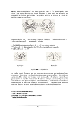 34
Quanto mais sua freqüência é alta mais agudo é o som. ** É o inverso para o som
grave. Sua coaptaçãO mais ou menos profunda e firme varia na pressão e na
quantidade segundo a nota emitida Elas podem, também, se alongar, se esticar, se
estreitar, se alargar ou relaxar.
Inspiração Figura 10 _ Corte da laringe (inspiração e fonação) 1. Bandas ventricu1ares; 2.
Ventriculos de Morgagni; 3. Cordas vocais; 4. Traquéia.
•• De 14 à 21 mm para as mulheres, de 18 a 25 mm para os homens.
*" Assim, o lá 3 (o lá do diapasão) faz 440 vibra.ções triplas por segundo.
O lá 2 faz 220 e o lá 4 faz 880
Inspiração Fonação
Figura 11 – Pregas vocais
As cordas vocais fornecem um som complexo composto de um fundamental que
representa a altura tonal e os harmônicos agudos que o acompanham e são múltiplos
deste som. Elas entram em vibração e são comandadas pelo cérebro e controladas
pelos centros de audição. No momento da emissão laríngea, várias condições devem
estar reunidas: uma pressão regulada conscientemente, a acomodação das cavidades
supra-laríngeas e uma boa colocação da ressonância O conjunto desta atividade
muscular realizará os sinais Acústicos de freqüência variável e os sustentará.
Livro: Técnica da Voz Cantada
Autora: Claire Dinville
Editora ENELIVROS, Rio de Janeiro, 1993
Traduzido do Francês
 
