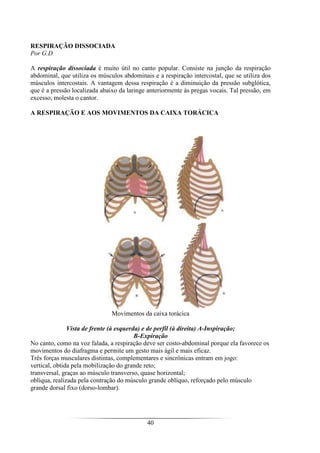 40
RESPIRAÇÃO DISSOCIADA
Por G.D
A respiração dissociada é muito útil no canto popular. Consiste na junção da respiração
abdominal, que utiliza os músculos abdominais e a respiração intercostal, que se utiliza dos
músculos intercostais. A vantagem dessa respiração é a diminuição da pressão subglótica,
que é a pressão localizada abaixo da laringe anteriormente às pregas vocais. Tal pressão, em
excesso, molesta o cantor.
A RESPIRAÇÃO E AOS MOVIMENTOS DA CAIXA TORÁCICA
Movimentos da caixa torácica
Vista de frente (à esquerda) e de perfil (à direita) A-Inspiração;
B-Expiração
No canto, como na voz falada, a respiração deve ser costo-abdominal porque ela favorece os
movimentos do diafragma e permite um gesto mais ágil e mais eficaz.
Três forças musculares distintas, complementares e sincrônicas entram em jogo:
vertical, obtida pela mobilização do grande reto;
transversal, graças ao músculo transverso, quase horizontal;
oblíqua, realizada pela contração do músculo grande oblíquo, reforçado pelo músculo
grande dorsal fixo (dorso-lombar).
 