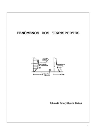 1
FENÔMENOS DOS TRANSPORTES
Eduardo Emery Cunha Quites
 