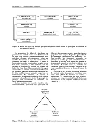 MICHEREFF, S.J. Fundamentos de Fitopatologia ... 104
FONTE DE INÓCULO
erradicação
→ DISSEMINAÇÃO
exclusão
→ INOCULAÇÃO
proteção
↑ ↓
REPRODUÇÃO
terapia
GERMINAÇÃO
proteção
↑ ↓
SINTOMAS ← COLONIZAÇÃO
imunização-terapia
← PENETRAÇÃO
proteção-imunização
SOBREVIVÊNCIA
erradicação
Figura 1. Fases do ciclo das relações patógeno-hospedeiro onde atuam os princípios de controle de
doenças de Whetzel..
Os princípios de Whetzel, abordando os
problemas de controle numa visão bidimensional
do ciclo das relações patógeno-hospedeiro, não
poderiam abranger adequadamente todas as
medidas de controle. A ação do homem sobre o
patógeno (exclusão e erradicação) e sobre o
hospedeiro (proteção, imunização e terapia) estava
bem clara. Entretanto, o fator ambiente, um dos
vértices do triângulo da doença, foi deixado de
lado. Em vista disto, Marchionatto (1949) sugere
que medidas de controle baseadas em modificações
do ambiente obedecem ao princípio da regulação.
De fato, modificações da umidade, temperatura e
luminosidade do ambiente, de reação e
propriedades do solo e da composição do ar, não se
encaixam adequadamente dentro do princípio de
proteção, onde usualmente são colocadas, em
livros textos de Fitopatologia.
Outras medidas de controle, também não
satisfatoriamente ajustáveis aos princípios de
Whetzel, são aquelas referentes à escolha da área
geográfica, local e época de plantio, profundidade
de semeadura, precocidade das variedades, etc.
Tais medidas são atualmente agrupadas no
princípio da evasão, que pode ser definida como a
prevenção da doença pelo plantio em épocas ou
áreas quando ou onde o inóculo é ineficiente, raro
ou ausente. A evasão baseia-se, portanto, em
táticas de fuga dirigidas contra o patógeno e/ou
contra o ambiente favorável ao desenvolvimento da
doença.
A regulação e a evasão tornam os princípios
de controle mais abrangentes, permitindo uma
visão mais global da natureza da doença e
melhorando a compreensão de que qualquer
alteração nos componentes do triângulo da doença,
isoladamente ou em conjunto, modifica o seu livre
curso (Fig. 2).
exclusão
erradicação
Patógeno
DOENÇA
Hospedeiro Ambiente
terapia evasão
proteção regulação
imunização
Figura 2. Indicação da atuação dos princípios gerais de controle nos componentes do triângulo da doença.
 
