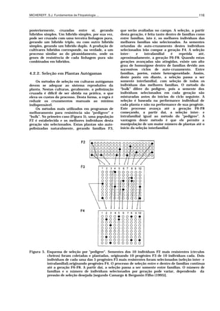 MICHEREFF, S.J. Fundamentos de Fitopatologia ... 116
posteriormente, cruzadas entre si, gerando
híbridos simples. Um híbrido simples, por sua vez,
pode ser cruzado com uma terceira linhagem pura,
gerando um híbrido triplo, ou com outro híbrido
simples, gerando um híbrido duplo. A produção de
cultivares híbridos corresponde, na verdade, a um
processo similar ao do piramidamento, onde os
genes de resistência de cada linhagem pura são
combinados em híbridos.
4.2.2. Seleção em Plantas Autógamas
Os métodos de seleção em culturas autógamas
devem se adequar ao sistema reprodutivo da
planta. Nestas culturas, geralmente, a polinização
cruzada é difícil de ser obtida na prática, o que
eleva os custos do processo. Desta forma, a regra é
reduzir os cruzamentos manuais ao mínimo
indispensável.
Os métodos mais utilizados em programas de
melhoramento para resistência são “pedigree” e
“bulk”. No primeiro caso (Figura 5), uma população
F2 é estabelecida e os melhores indivíduos desta
geração são selecionados. Estas plantas são auto-
polinizadas naturalmente, gerando famílias F3,
que serão avaliadas no campo. A seleção, a partir
desta geração, é feita tanto dentro de famílias como
entre famílias, isto é, os melhores indivíduos das
melhores famílias são selecionados. As sementes
oriundas do auto-cruzamento destes indivíduos
selecionados irão compor a geração F4. A seleção
inter- e intrafamilial é repetida até,
aproximadamente, a geração F6-F8. Quando estas
gerações avançadas são atingidas, existe um alto
grau de homozigose dentro de famílias devido aos
sucessivos ciclos de auto-cruzamento. Entre
famílias, porém, existe heterogeneidade. Assim,
deste ponto em diante, a seleção passa a ser
somente interfamilial, com seleção de todos os
indivíduos das melhores famílias. O método do
“bulk” difere do pedigree, pois a semente dos
indivíduos selecionados em cada geração são
misturadas antes do inícios do ciclo seguinte. A
seleção é baseada na performance individual de
cada planta e não na performance de sua progênie.
Este processo avança até a geração F6-F8
começando, a partir daí, a seleção inter- e
intrafamilial igual ao método do “pedigree”. A
vantagem deste método é que ele permite a
manipulação de um maior número de plantas até o
início da seleção interfamilial.
Figura 5. Esquema de seleção por "pedigree". Sementes dos 10 indivíduos F2 mais resistentes (círculos
cheiros) foram coletadas e plantadas, originando 10 progênies F3 de 10 indivíduos cada. Dois
indivíduos de cada uma das 5 progênies F3 mais resistentes foram selecionados (seleção inter- e
intrafamilial),originando progênies F4. O processo de seleção entre e dentro de famílias continua
até a geração F6-F8. A partir daí, a seleção passa a ser somente entre famílias. O número de
famílias e o número de indivíduos selecionados por geração pode variar, dependendo da
pressão de seleção desejada [segundo Camargo & Bergamin Filho (1995)].
 