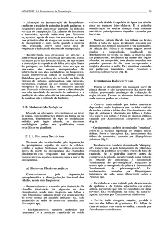 MICHEREFF, S.J. Fundamentos de Fitopatologia ... 20
• Alteração na transpiração do hospedeiro:
conforme o estádio de colonização pelo patógeno, o
hospedeiro pode apresentar aumento ou redução
na taxa de transpiração. Ex.: plantas de bananeira
e tomateiro, quando infectadas por Fusarium
oxysporum, agente de murchas vasculares, exibem
nos primeiros dias do ataque um aumento na taxa
de transpiração e, mais tarde, quando a murcha
está avançada, ocorre uma baixa taxa de
respiração e inibição do sistema de transpiração.
• Interferência nos processos de síntese: a
interferência pode se processar diretamente, como
na maior parte das doenças foliares, em que ocorre
a destruição da superfície da folha pela ação direta
do patógeno, ou indiretamente, uma vez que os
processos são sempre acompanhados de
interferência nas vias metabólicas do hospedeiro.
Essas interferências podem se manifestar como
distúrbios que resultam do acúmulo ou falta de
hidrato de carbono, aminoácidos, sais minerais,
hormônios, enzimas ou até mesmo no balanço
energético da planta. Ex.: em tomateiro atacado
por Ralstonia solanacearum, ocorre a descoloração
vascular (resultado do acúmulo de melanina) e a
produção de raízes adventícias (excessiva produção
de auxinas sob o estímulo da bactéria).
2.3. Sintomas Morfológicos
Quando as alterações exteriorizam-se ao nível
de órgão, com modificações visíveis na forma ou na
anatomia. Dependendo do tipo de modificação
exibida pelo órgão afetado, os sintomas
morfológicos podem ser qualificados como
necróticos ou plásticos.
2.3.1. Sintomas Necróticos
Necroses são caracterizadas pela degeneração
do protoplasma, seguida de morte de células,
tecidos e órgãos. Sintomas necróticos presentes
antes da morte do protoplasma são chamados
plesionecróticos, enquanto são denominados
holonecróticos aqueles expressos após a morte do
protoplasma.
a) Sintomas Plesionecróticos
Caracterizam-se pela degeneração
protoplasmática e desorganização funcional das
células, sendo mais freqüentes:
• Amarelecimento: causado pela destruição da
clorofila (destruição do pigmento ou dos
cloroplastos), sendo mais freqüente nas folhas e
com intensidade variando desde leve descoramento
do verde normal até amarelo brilhante. Ex.: halo
amarelado ao redor de manchas causadas por
Cercospora spp.
• Encharcamento: também conhecido por
"anasarca", é a condição translúcida do tecido
encharcado devido à expulsão de água das células
para os espaços intercelulares. É a primeira
manifestação de muitas doenças com sintomas
necróticos, principalmente daquelas causadas por
bactérias.
• Murcha: estado flácido das folhas ou brotos
devido à falta de água, geralmente causada por
distúrbios nos tecidos vasculares e/ou radiculares.
As células das folhas e de outros órgãos aéreos
perdem a turgescência, resultando em
definhamento do tecido ou órgão. A murcha pode
ser permanente, resultando na morte dos órgãos
afetados, ou temporária, com plantas murchas nos
períodos quentes do dia, mas recuperando a
turgidez durante a noite. Ex.: murchas causadas
por patógenos vasculares, como Fusarium e
Ralstonia solanacearum (Fig. 1).
b) Sintomas Holonecróticos
Podem se desenvolver em qualquer parte da
planta doente e são característicos da morte das
células, provocando mudanças de coloração do
órgão afetado. Dentre os sintomas holonecróticos
mais comuns podem ser citados:
• Cancro: caracterizado por lesões necróticas
deprimidas, mais freqüentes nos tecidos corticais
de caules, raízes e tubérculos. Eventualmente este
tipo de sintoma é observado em folhas e frutos.
Ex.: cancro em folhas e frutos de plantas cítricas,
causado por Xanthomonas campestris pv. citri
(Fig.1).
• Crestamento: também denominado "requeima",
refere-se à necrose repentina de órgãos aéreos
(folhas, flores e brotações). Ex.: crestamento das
folhas do tomateiro, causado por Phytophthora
infestans (Fig.1).
• Tombamento: também denominado "damping-
off", caracteriza-se pelo tombamento de plântulas,
resultado da podridão de tecidos tenros da base do
caulículo. Se a podridão ocorrer antes da
emergência da planta, caracterizando uma redução
no estande de semeadura, é denominado
"tombamento de pré-emergência", enquanto se
ocorre após a emergência da planta é denominado
"tombamento de pós-emergência". Ex.:
tombamentos causados por fitopatógenos
habitantes do solo, como Rhizoctonia solani e
Pythium spp.
• Escaldadura: caracterizado pelo descoramento
da epiderme e de tecidos adjacentes em órgãos
aéreos, parecendo que este foi escaldado por água
fervente. Ex.: escaldadura da folha da cana-de-
açúcar, causado por Xanthomonas albilineans.
• Estria: lesão alongada, estreita, paralela à
nervura das folhas de gramíneas. Ex: folhas de
cana-de-açúcar com estria vermelha, causada por
Pseudomonas rubrilineans.
 