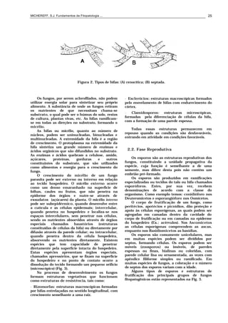 MICHEREFF, S.J. Fundamentos de Fitopatologia ... 25
Figura 2. Tipos de hifas: (A) cenocítica; (B) septada.
Os fungos, por serem aclorofilados, não podem
utilizar energia solar para sintetizar seu próprio
alimento. A substância de onde os fungos retiram
os nutrientes de que necessitam chama-se
substrato, o qual pode ser o húmus do solo, restos
de cultura, plantas vivas, etc. As hifas ramificam-
se em todas as direções no substrato, formando o
micélio.
As hifas ou micélio, quanto ao número de
núcleos, podem ser uninucleadas, binucleadas e
multinucleadas. A extremidade da hifa é a região
de crescimento. O protoplasma na extremidade da
hifa sintetiza um grande número de enzimas e
ácidos orgânicos que são difundidos no substrato.
As enzimas e ácidos quebram a celulose, amido,
açúcares, proteínas, gorduras e outros
constituintes do substrato, que são utilizados
como alimentos e energia para o crescimento do
fungo.
O crescimento do micélio de um fungo
parasita pode ser externo ou interno em relação
ao tecido hospedeiro. O micélio externo ocorre
como um denso emaranhado na superfície de
folhas, caules ou frutos, que não penetra na
epiderme dos órgãos e nutre-se através de
exsudatos (açúcares) da planta. O micélio interno
pode ser subepidérmico, quando desenvolve entre
a cutícula e as células epidermais; intercelular,
quando penetra no hospedeiro e localiza-se nos
espaços intercelulares, sem penetrar nas células,
sendo os nutrientes absorvidos através de órgãos
especiais chamados haustórios (estruturas
constituídas de células da hifa) ou diretamente por
difusão através da parede celular; ou intracelular,
quando penetra dentro da célula hospedeira,
absorvendo os nutrientes diretamente. Existem
espécies que tem capacidade de penetrar
diretamente pela superfície intacta do hospedeiro.
Estas espécies apresentam órgãos especiais,
chamados apressórios, que se fixam na superfície
do hospedeiro e no ponto de contato ocorre a
dissolução do tecido formando um pequeno orifício
(microscópico) (Fig. 3).
No processo de desenvolvimento os fungos
formam estruturas vegetativas que funcionam
como estruturas de resistência, tais como:
• Rizomorfas: estruturas macroscópicas formadas
por hifas entrelaçadas no sentido longitudinal, com
crescimento semelhante a uma raiz.
• Esclerócios: estruturas macroscópicas formados
pelo enovelamento de hifas com endurecimento do
córtex.
• Clamidosporos: estruturas microscópicas,
formadas pela diferenciação de células da hifa,
com a formação de uma parede espessa.
Todas essas estruturas permanecem em
repouso quando as condições são desfavoráveis,
entrando em atividade em condições favoráveis.
2.2. Fase Reprodutiva
Os esporos são as estruturas reprodutivas dos
fungos, constituindo a unidade propagativa da
espécie, cuja função é semelhante a de uma
semente, mas difere desta pois não contém um
embrião pré-formado.
Os esporos são produzidos em ramificações
especializadas ou tecidos do talo ou hifa chamados
esporóforos. Estes, por sua vez, recebem
denominações de acordo com a classe do
organismo. Como exemplo temos: conidióforo nos
Deuteromicetos e esporangióforo nos Oomicetos.
O corpo de frutificação de um fungo, como
peritécios, apotécios e picnídios, dão proteção e
apoio às células esporógenas, as quais podem ser
agregadas em camadas dentro da cavidade do
corpo de frutificação ou em camadas na epiderme
do hospedeiro (Ex.: acérvulos). Nos Ascomicetos
as células esporógenas compreendem as ascas,
enquanto nos Basidiomicetos as basídias.
Os esporos são comumente unicelulares, mas
em muitas espécies podem ser divididos por
septos, formando células. Os esporos podem ser
móveis (zoosporos) ou imóveis, de paredes
espessas ou finas, hialinas ou coloridas, com
parede celular lisa ou ornamentada, as vezes com
apêndice filiforme simples ou ramificado. Em
muitas espécies de fungos, a coloração e o número
de septos dos esporos variam com a idade.
Alguns tipos de esporos e estruturas de
frutificação dos principais grupos de fungos
fitopatogênicos estão representados na Fig. 3.
 