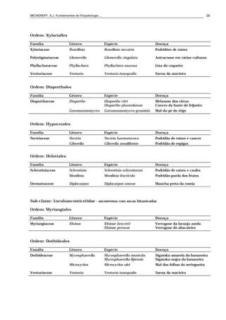 MICHEREFF, S.J. Fundamentos de Fitopatologia ... 35
Ordem: Xylarialles
Família Gênero Espécie Doença
Xylariaceae Rosellinia Rosellinia necatrix Podridões de raízes
Polystigmataceae Glomerella Glomerella cingulata Antracnose em várias culturas
Phyllachoraceae Phyllachora Phyllachora mucosa Lixa do coqueiro
Venturiaceae Venturia Venturia inaequalis Sarna da macieira
Ordem: Diaporthales
Família Gênero Espécie Doença
Diaporthaceae Diaporthe Diaporthe citri Melanose dos citrus
Diaporthe phaseolorum Cancro da haste do feijoeiro
Gaeumannomyces Gaeumannomyces graminis Mal-do-pé do trigo
Ordem: Hypocreales
Família Gênero Espécie Doença
Nectriaceae Nectria Nectria haematococa Podridão de raízes e cancro
Giberella Giberella moniliforme Podridão de espigas
Ordem: Helotiales
Família Gênero Espécie Doença
Sclerotiniaceae Sclerotinia Sclerotinia sclerotiorum Podridão de raízes e caules
Monilinia Monilinia fructicola Podridão parda dos frutos
Dermateaceae Diplocarpon Diplocarpon roseae Mancha preta da roseia
Sub-classe: Loculoascomicetidae - ascostroma com ascas bitunicadas
Ordem: Myriangiales
Família Gênero Espécie Doença
Myriangiaceae Elsinoe Elsinoe fawcetti Verrugose da laranja azeda
Elsinoe perseae Verrugose do abacateiro
Ordem: Dothideales
Família Gênero Espécie Doença
Dothideaceae Mycosphaerella Mycosphaerella musicola Sigatoka-amarela da bananeira
Mycosphaerella fijiensis Sigatoka-negra da bananeira
Microcyclus Microcyclus ulei Mal das folhas da seringueira
Venturiaceae Venturia Venturia inaequalis Sarna da macieira
 