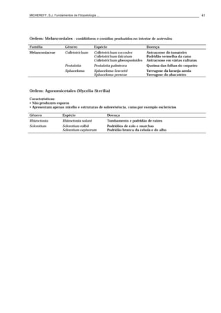 MICHEREFF, S.J. Fundamentos de Fitopatologia ... 41
Ordem: Melanconiales - conidióforos e conídios produzidos no interior de acérvulos
Família Gênero Espécie Doença
Melanconiaceae Colletotrichum Colletotrichum coccodes Antracnose do tomateiro
Colletotrichum falcatum Podridão vermelha da cana
Colletotrichum gloeosporioides Antracnose em várias culturas
Pestalotia Pestalotia palmivora Queima das folhas do coqueiro
Sphaceloma Sphaceloma fawcetti Verrugose da laranja azeda
Sphaceloma perseae Verrugose do abacateiro
Ordem: Agonomicetales (Mycelia Sterilia)
Características:
• Não produzem esporos
• Apresentam apenas micélio e estruturas de sobrevivência, como por exemplo esclerócios
Gênero Espécie Doença
Rhizoctonia Rhizoctonia solani Tombamento e podridão de raízes
Sclerotium Sclerotium rolfsii Podridões de colo e murchas
Sclerotium cepivorum Podridão branca da cebola e do alho
 