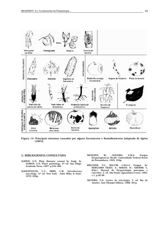 MICHEREFF, S.J. Fundamentos de Fitopatologia ... 43
Figura 14. Principais sintomas causados por alguns Ascomicetos e Basiodiomicetos [adaptado de Agrios
(1997)].
5. BIBLIOGRAFIA CONSULTADA
AGRIOS, G.N. Plant diseases caused by fungi. In:
AGRIOS, G.N. Plant pathology. 4th ed. San Diego:
Academic Press, 1997. p.245-406.
ALEXOPOULOS, C.J.; MIMS, C.W. Introductory
mycology. 3rd ed. New York: John Wiley & Sons,
1979. 630p.
MENEZES, M.; OLIVEIRA, S.M.A. Fungos
fitopatogênicos. Recife: Universidade Federal Rural
de Pernambuco, 1993. 350p.
KRUGNER, T.L.; BACCHI, L.M.A.A. Fungos. In:
BERGAMIN FILHO, A.; KIMATI, H.; AMORIM, L.
(Eds.). Manual de fitopatologia: princípios e
conceitos. 3. ed. São Paulo: Agronômica Ceres, 1995.
v.1, p.46-96.
SILVEIRA, V.D. Lições de micologia. 3. ed. Rio de
Janeiro: José Olympio Editora, 1968. 301p.
 