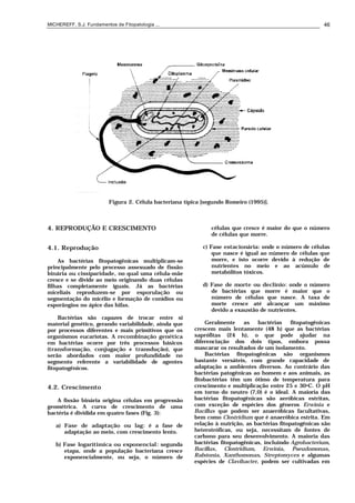 MICHEREFF, S.J. Fundamentos de Fitopatologia ... 46
Figura 2. Célula bacteriana típica [segundo Romeiro (1995)].
4. REPRODUÇÃO E CRESCIMENTO
4.1. Reprodução
As bactérias fitopatogênicas multiplicam-se
principalmente pelo processo assexuado de fissão
binária ou cissiparidade, no qual uma célula-mãe
cresce e se divide ao meio originando duas células
filhas completamente iguais. Já as bactérias
miceliais reproduzem-se por esporulação ou
segmentação do micélio e formação de conídios ou
esporângios no ápice das hifas.
Bactérias são capazes de trocar entre si
material genético, gerando variabilidade, ainda que
por processos diferentes e mais primitivos que os
organismos eucariotas. A recombinação genética
em bactérias ocorre por três processos básicos
(transformação, conjugação e transdução), que
serão abordados com maior profundidade no
segmento referente a variabilidade de agentes
fitopatogênicos.
4.2. Crescimento
A fissão binária origina células em progressão
geométrica. A curva de crescimento de uma
bactéria é dividida em quatro fases (Fig. 3):
a) Fase de adaptação ou lag: é a fase de
adaptação ao meio, com crescimento lento.
b) Fase logarítimica ou exponencial: segunda
etapa, onde a população bacteriana cresce
exponencialmente, ou seja, o número de
células que cresce é maior do que o número
de células que morre.
c) Fase estacionária: onde o número de células
que nasce é igual ao número de células que
morre, e isto ocorre devido à redução de
nutrientes no meio e ao acúmulo de
metabólitos tóxicos.
d) Fase de morte ou declínio: onde o número
de bactérias que morre é maior que o
número de células que nasce. A taxa de
morte cresce até alcançar um máximo
devido a exaustão de nutrientes.
Geralmente as bactérias fitopatogênicas
crescem mais lentamente (48 h) que as bactérias
saprófitas (24 h), o que pode ajudar na
diferenciação dos dois tipos, embora possa
mascarar os resultados de um isolamento.
Bactérias fitopatogênicas são organismos
bastante versáteis, com grande capacidade de
adaptação a ambientes diversos. Ao contrário das
bactérias patogênicas ao homem e aos animais, as
fitobactérias têm um ótimo de temperatura para
crescimento e multiplicação entre 25 e 30oC. O pH
em torno do neutro (7,0) é o ideal. A maioria das
bactérias fitopatogênicas são aeróbicas estritas,
com exceção de espécies dos gêneros Erwinia e
Bacillus que podem ser anaeróbicas facultativas,
bem como Clostridium que é anaeróbica estrita. Em
relação à nutrição, as bactérias fitopatogênicas são
heterotróficas, ou seja, necessitam de fontes de
carbono para seu desenvolvimento. A maioria das
bactérias fitopatogênicas, incluindo Agrobacterium,
Bacillus, Clostridium, Erwinia, Pseudomonas,
Ralstonia, Xanthomonas, Streptomyces e algumas
espécies de Clavibacter, podem ser cultivadas em
 