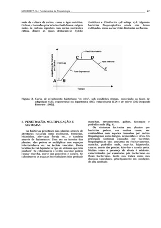 MICHEREFF, S.J. Fundamentos de Fitopatologia ... 47
meio de cultura de rotina, como o ágar-nutritivo.
Outras, chamadas procariotas fastidiosos, exigem
meios de cultura especiais com vários nutrientes
extras, dentre as quais destacam-se Xylella
fastidiosa e Clavibacter xyli subsp. xyli. Algumas
bactérias fitopatogênicas ainda não foram
cultivadas, como as bactérias limitadas ao floema.
Figura 3. Curva de crescimento bacteriano “in vitro”, sob condições ótimas, mostrando as fases de
adaptação (AB), exponencial ou logarítmica (BC), estacionária (CD) e de morte (DE) [segundo
Romeiro (1995)].
5. PENETRAÇÃO, MULTIPLICAÇÃO E
SINTOMAS
As bactérias penetram nas plantas através de
aberturas naturais como estômatos, lenticelas,
hidatódios, aberturas florais etc., e também
através de ferimentos. Uma vez no interior das
plantas, elas podem se multiplicar nos espaços
intercelulares ou no tecido vascular. Desta
localização vai depender o tipo de sintoma que irão
produzir. Se colonizarem o tecido vascular podem
causar murcha, morte dos ponteiros e cancro. Se
colonizarem os espaços intercelulares irão produzir
manchas, crestamentos, galhas, fasciação e
podridão mole (Fig. 4).
Os sintomas incitados em plantas por
bactérias podem, em muitos casos, ser
confundidos com aqueles causados por outros
fitopatógenos como fungos, nematóides e vírus. Os
principais sintomas causados por bactérias
fitopatogênicas são: anasarca ou encharcamento,
mancha, podridão mole, murcha, hipertrofia,
cancro, morte das pontas, talo-ôco e canela preta.
Muitas vezes a presença de sinais é evidente,
caracterizados por exsudado, pús bacteriano ou
fluxo bacteriano, tanto nas lesões como nas
doenças vasculares, principalmente em condições
de alta umidade.
 