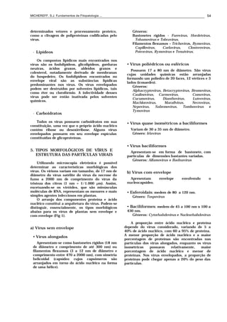 MICHEREFF, S.J. Fundamentos de Fitopatologia ... 54
determinados vetores e processamento proteíco,
como a clivagem de poliproteínas codificadas pelo
vírus.
• Lipídeos
Os compostos lipídicos mais encontrados nos
vírus são os fosfolipídeos, glicolipídeos, gorduras
neutras, ácidos graxos, aldeídos graxos e
colesterol, notadamente derivado de membranas
do hospedeiro. Os fosfolipídeos encontrados no
envelope viral são as substâncias lipídicas
predominantes nos vírus. Os vírus envelopados
podem ser destruídos por solventes lipídicos, tais
como éter ou clorofórmio. A infectividade desses
vírus pode ser então inativada pelos solventes
químicos.
• Carboidratos
Todos os vírus possuem carboidratos em sua
constituição, uma vez que o próprio ácido nucléico
contém ribose ou desoxirribose. Alguns vírus
envelopados possuem em seu envelope espículas
constituídas de glicoproteínas.
5. TIPOS MORFOLÓGICOS DE VÍRUS E
ESTRUTURA DAS PARTÍCULAS VIRAIS
Utilizando microscopia eletrônica é possível
determinar as características morfológicas dos
vírus. Os vírions variam em tamanho, de 17 nm de
diâmetro do vírus satélite do vírus da necrose do
fumo a 2000 nm de comprimento do vírus da
tristeza dos citros (1 nm = 1/1.000 µm). Assim,
excetuando-se os viróides, que são minúsculas
moléculas de RNA, representam os menores e mais
simples agentes infecciosos em plantas.
O arranjo dos componentes proteína e ácido
nucléico constitui a arquitetura do vírus. Podem-se
distinguir, essencialmente, os tipos morfológicos
abaixo para os vírus de plantas sem envelope e
com envelope (Fig 1).
a) Vírus sem envelope
• Vírus alongados
Apresentam-se como bastonetes rígidos (18 nm
de diâmetro e comprimento de até 300 nm) ou
filamentos flexuosos (3 a 12 nm de diâmetro e
comprimento entre 470 a 2000 nm), com simetria
helicoidal (capsídeo cujos capsômeros são
arranjados em torno do ácido nucléico na forma
de uma hélice).
Gêneros:
Bastonetes rígidos - Furovirus, Hordeivirus,
Tobamovirus e Tobravirus.
Filamentos flexuosos – Trichovirus, Bymovirus,
Capillovirus, Carlavirus, Closterovirus,
Potexvirus, Rymovirus e Tenuivirus.
• Vírus poliédricos ou esféricos
Possuem 17 a 80 nm de diâmetro. São vírus
cujas unidades químicas estão arranjadas
formando um poliedro de 20 faces, 12 vértices e 3
lados (icosaedro).
Gêneros:
Alphacryptovirus, Betacryptovirus, Bromovirus,
Caulinovirus, Carmovirus, Comovirus,
Cucumovirus, Dianthovirus, Luteovirus,
Machlorovirus, Marafivirus, Necrovirus,
Nepovirus, Sabemovirus, Tombosvirus e
Tymovirus
• Vírus quase isométricos a baciliformes
Variam de 30 a 35 nm de diâmetro.
Gênero: Irlavirus
• Vírus baciliformes
Apresentam-se em forma de bastonete, com
partículas de dimensões bastantes variadas.
Gêneros: Alfamovirus e Badnavirus
b) Vírus com envelope
Apresentam envelope envolvendo o
nucleocapsídeo.
• Esferoidais: medem de 80 a 120 nm.
Gênero: Tospovirus
• Baciliformes: medem de 45 a 100 nm x 100 a
430 nm.
Gêneros: Cytorhabdovirus e Nucleorhabdovirus
A proporção entre ácido nucléico e proteína
depende do vírus considerado, variando de 5 a
40% de ácido nucléico, com 60 a 95% de proteína.
A menor proporção de ácido nucléico e a maior
porcentagem de proteínas são encontradas nas
partículas dos vírus alongados, enquanto os vírus
isométricos possuem relativamente, maior
porcentagem de ácido nucléico e menor de
proteínas. Nos vírus envelopados, a proporção de
proteínas pode chegar apenas a 20% do peso das
partículas.
 