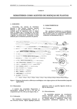 MICHEREFF, S.J. Fundamentos de Fitopatologia ... 62
Unidade 9
NEMATÓIDES COMO AGENTES DE DOENÇAS DE PLANTAS
1. CONCEITO
Nematóides são animais do Sub-Reino
Metazoa e Filo Nemata. Possuem simetria
bilateral e são pseudocelomados, isto é, a
cavidade geral do organismo onde se alojam
todos os órgãos não é revestida por um tecido
especializado. A palavra nematóide vem do grego
e significa "em forma de fio". Nematóide é o nome
utilizado para os helmintos parasitas de plantas.
2. CARACTERÍSTICAS
2.1. Formas
São geralmente fusiformes ou vermiformes,
ou seja, cilíndricos com as extremidades afiladas.
Mas também podem ser piriformes, napiformes,
reniformes ou limoniformes (Fig. 1).
Figura 1. Diagrama ilustrando as diferenças morfológicas entre alguns gêneros de fitonematóides [segundo
Agrios(1997)].
2.2. Dimensões
A maioria dos nematóides fitoparasitas é
microscópica, medindo de 0,5 a 2,0 mm de
comprimento por 50 a 250 µm de largura (Fig. 1).
2.3. Coloração
São totalmente transparentes, deixando ver
sua estrutura interior. Alguns algófagos possuem
pigmentos verdes no aparelho digestivo devido ao
tipo de alimentação.
2.4. Revestimento
Os nematóides possuem um revestimento
externo chamado cutícula, rígida e espessa,
transparente, não celular, constituída por secreção
da camada inferior, a hipoderme, tendo como
componentes substâncias orgânicas, na sua
 