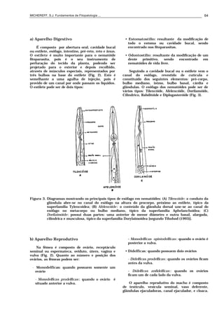MICHEREFF, S.J. Fundamentos de Fitopatologia ... 64
a) Aparelho Digestivo
É composto por abertura oral, cavidade bucal
ou estilete, esôfago, intestino, pré-reto, reto e ânus.
O estilete é muito importante para o nematóide
fitoparasita, pois é o seu instrumento de
perfuração do tecido da planta, podendo ser
projetado para o exterior e depois recolhido,
através de músculos especiais, representados por
três bulbos na base do estilete (Fig. 2). Este é
semelhante a uma agulha de injeção, pois é
provido de um canal por onde passam os líquidos.
O estilete pode ser de dois tipos:
• Estomatostílio: resultante da modificação de
todo o estoma ou cavidade bucal, sendo
encontrado nos fitoparasitas.
• Odontostílio: resultante da modificação de um
dente primitivo, sendo encontrado em
nematóides de vida livre.
Seguindo a cavidade bucal ou o estilete vem o
canal do esôfago, revestido de cutícula e
constituído dos seguintes elementos: pró-corpo,
bulbo mediano, istmo, bulbo basal, cárdia e
glândulas. O esôfago dos nematóides pode ser de
vários tipos: Tilencóide, Afelencóide, Dorilamóide,
Cilíndrico, Rabditóide e Diplogasteróide (Fig. 3).
Figura 3. Diagramas mostrando os principais tipos de esôfago em nematóides: (A) Tilencóide: o conduto da
glândula abre-se no canal do esôfago na altura do procorpo, próximo ao estilete, típico da
superfamília Tylencoidea; (B) Afelencóide : o conteúdo da glândula dorsal une-se ao canal do
esôfago no metacorpo ou bulbo mediano, típico da superfamília Aphelanchoidea; (C)
Dorilaimóide: possui duas partes: uma anterior de menor diâmetro e outra basal, alargada,
cilíndrica e musculosa, típico da superfamília Dorylaimoidea [segundo Tihohod (1993)].
b) Aparelho Reprodutivo
Na fêmea é composto de ovário, receptáculo
seminal ou espermateca, oviduto, útero, vagina e
vulva (Fig. 2). Quanto ao número e posição dos
ovários, as fêmeas podem ser:
• Monodelficas: quando possuem somente um
ovário
- Monodelficas prodelficas : quando o ovário é
situado anterior a vulva.
- Monodelficas opistodelficas: quando o ovário é
posterior a vulva.
• Didelficas: quando possuem dois ovários
- Didelficas prodelficas: quando os ovários ficam
antes da vulva.
- Didelficas anfidelficas : quando os ovários
ficam um de cada lado da vulva.
O aparelho reprodutivo do macho é composto
de testículo, vesícula seminal, vaso deferente,
glândulas ejaculadoras, canal ejaculador, e cloaca.
 