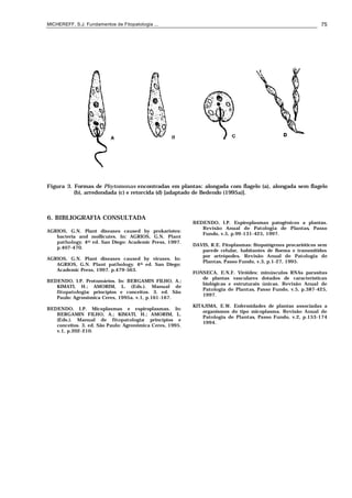 MICHEREFF, S.J. Fundamentos de Fitopatologia ... 75
Figura 3. Formas de Phytomonas encontradas em plantas: alongada com flagelo (a), alongada sem flagelo
(b), arredondada (c) e retorcida (d) [adaptado de Bedendo (1995a)].
6. BIBLIOGRAFIA CONSULTADA
AGRIOS, G.N. Plant diseases caused by prokariotes:
bacteria and mollicutes. In: AGRIOS, G.N. Plant
pathology. 4th ed. San Diego: Academic Press, 1997.
p.407-470.
AGRIOS, G.N. Plant diseases caused by viruses. In:
AGRIOS, G.N. Plant pathology. 4th ed. San Diego:
Academic Press, 1997. p.479-563.
BEDENDO, I.P. Protozoários. In: BERGAMIN FILHO, A.;
KIMATI, H.; AMORIM, L. (Eds.). Manual de
fitopatologia: princípios e conceitos. 3. ed. São
Paulo: Agronômica Ceres, 1995a. v.1, p.161-167.
BEDENDO, I.P. Micoplasmas e espiroplasmas. In:
BERGAMIN FILHO, A.; KIMATI, H.; AMORIM, L.
(Eds.). Manual de fitopatologia: princípios e
conceitos. 3. ed. São Paulo: Agronômica Ceres, 1995.
v.1, p.202-210.
BEDENDO, I.P. Espiroplasmas patogênicos a plantas.
Revisão Anual de Patologia de Plantas, Passo
Fundo, v.5, p.99-131-425, 1997.
DAVIS, R.E. Fitoplasmas: fitopatógenos procarióticos sem
parede celular, habitantes de floema e transmitidos
por artrópodes. Revisão Anual de Patologia de
Plantas, Passo Fundo, v.3, p.1-27, 1995.
FONSECA, E.N.F. Viróides: minúsculos RNAs parasitas
de plantas vasculares dotados de características
biológicas e estruturais únicas. Revisão Anual de
Patologia de Plantas, Passo Fundo, v.5, p.387-425,
1997.
KITAJIMA, E.W. Enfermidades de plantas associadas a
organismos do tipo micoplasma. Revisão Anual de
Patologia de Plantas, Passo Fundo, v.2, p.153-174
1994.
 