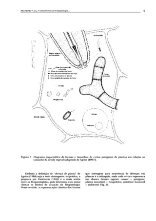 MICHEREFF, S.J. Fundamentos de Fitopatologia ... 6
Figura 1. Diagrama esquemático de formas e tamanhos de certos patógenos de plantas em relação ao
tamanho da célula vegetal [adaptado de Agrios (1997)].
Embora a definição de “doença de planta” de
Agrios (1988) seja a mais abrangente, na prática, a
proposta por Gaümann (1946) é a mais aceita
entre os fitopatologistas, pois determina com maior
clareza os limites de atuação da Fitopatologia.
Nesse sentido, a representação clássica dos fatores
que interagem para ocorrência de doenças em
plantas é o triângulo, onde cada vértice representa
um desses fatores (agente causal = patógeno;
planta suscetível = hospedeiro; ambiente favorável
= ambiente) (Fig. 2).
 