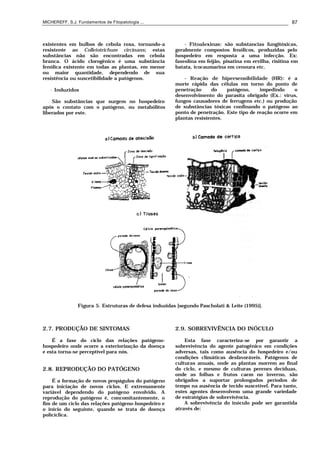 MICHEREFF, S.J. Fundamentos de Fitopatologia ... 87
existentes em bulbos de cebola roxa, tornando-a
resistente ao Colletotrichum circinans; estas
substâncias não são encontradas em cebola
branca. O ácido clorogênico é uma substância
fenólica existente em todas as plantas, em menor
ou maior quantidade, dependendo de sua
resistência ou suscetibilidade a patógenos.
• Induzidos
São substâncias que surgem no hospedeiro
após o contato com o patógeno, ou metabólitos
liberados por este.
- Fitoalexinas: são substancias fungitóxicas,
geralmente compostos fenólicos, produzidas pelo
hospedeiro em resposta a uma infecção. Ex:
faseolina em feijão, pisatina em ervilha, risitina em
batata, icocaumarina em cenoura etc.
- Reação de hipersensibilidade (HR): é a
morte rápida das células em torno do ponto de
penetração do patógeno, impedindo o
desenvolvimento do parasita obrigado (Ex.: vírus,
fungos causadores de ferrugens etc.) ou produção
de substâncias tóxicas confinando o patógeno ao
ponto de penetração. Este tipo de reação ocorre em
plantas resistentes.
Figura 5. Estruturas de defesa induzidas [segundo Pascholati & Leite (1995)].
2.7. PRODUÇÃO DE SINTOMAS
É a fase do ciclo das relações patógeno-
hospedeiro onde ocorre a exteriorização da doença
e esta torna-se perceptível para nós.
2.8. REPRODUÇÃO DO PATÓGENO
É a formação de novos propágulos do patógeno
para iniciação de novos ciclos. E extremamente
variável dependendo do patógeno envolvido. A
reprodução do patógeno é, concomitantemente, o
fim de um ciclo das relações patógeno-hospedeiro e
o início do seguinte, quando se trata de doença
policíclica.
2.9. SOBREVIVÊNCIA DO INÓCULO
Esta fase caracteriza-se por garantir a
sobrevivência do agente patogênico em condições
adversas, tais como ausência do hospedeiro e/ou
condições climáticas desfavoráveis. Patógenos de
culturas anuais, onde as plantas morrem ao final
do ciclo, e mesmo de culturas perenes decíduas,
onde as folhas e frutos caem no inverno, são
obrigados a suportar prolongados períodos de
tempo na ausência de tecido suscetível. Para tanto,
estes agentes desenvolvem uma grande variedade
de estratégias de sobrevivência.
A sobrevivência do inóculo pode ser garantida
através de:
 