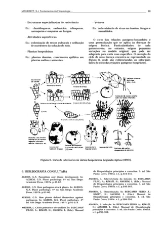 MICHEREFF, S.J. Fundamentos de Fitopatologia ... 88
• Estruturas especializadas de resistência
Ex.: clamidosporos, esclerócios, teliosporos,
ascosporos e oosporos em fungos.
• Atividades saprofíticas
Ex.: colonização de restos culturais e utilização
de nutrientes da solução do solo.
• Plantas hospedeiras
Ex.: plantas doentes, crescimento epifítico em
plantas sadias e sementes.
• Vetores
Ex.: sobrevivência de vírus em insetos, fungos e
nematóides.
O ciclo das relações patógeno-hospedeiro é
uma generalização que se aplica às doenças de
origem biótica. Particularidades de cada
patossistema, no entanto, exigem pequenas
variações no modelo original, que pode ser
adaptado para cada caso específico. O exemplo do
ciclo de uma doença encontra-se representado na
Figura 6, onde são evidenciandas as principais
fases do ciclo das relações patógeno-hospedeiro.
Figura 6. Ciclo de Alternaria em vários hospedeiros [segundo Agrios (1997)].
6. BIBLIOGRAFIA CONSULTADA
AGRIOS, G.N. Parasitism and disese development. In:
AGRIOS, G.N. Plant pathology. 4th ed. San Diego:
Academic Press, 1997a. p.43-62.
AGRIOS, G.N. How pathogens attack plants. In: AGRIOS,
G.N. Plant pathology. 4th ed. San Diego: Academic
Press, 1997b. p.63-80.
AGRIOS, G.N. How plants defend themselves against
pathogens. In: AGRIOS, G.N. Plant pathology. 4th
ed. San Diego: Academic Press, 1997c. p.92-114.
AMORIM, L. Ciclos primário e secundário. In: BERGAMIN
FILHO, A.; KIMATI, H.; AMORIM, L. (Eds.). Manual
de fitopatologia: princípios e conceitos. 3. ed. São
Paulo: Ceres, 1995a. v.1, p.234-245.
AMORIM, L. Sobrevivência do inóculo. In: BERGAMIN
FILHO, A.; KIMATI, H.; AMORIM, L. (Eds.). Manual
de fitopatologia: princípios e conceitos. 3. ed. São
Paulo: Ceres, 1995b. v.1, p.246-267.
AMORIM, L. Disseminação. In: BERGAMIN FILHO, A.;
KIMATI, H.; AMORIM, L. (Eds.). Manual de
fitopatologia: princípios e conceitos. 3. ed. São
Paulo: Ceres, 1995c. v.1, p.268-294.
AMORIM, L. Infecção. In: BERGAMIN FILHO, A.; KIMATI,
H.; AMORIM, L. (Eds.). Manual de fitopatologia:
princípios e conceitos. 3. ed. São Paulo: Ceres, 1995d.
v.1, p.295-308.
 