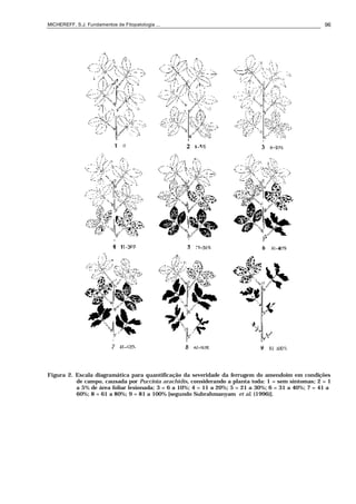 MICHEREFF, S.J. Fundamentos de Fitopatologia ... 96
Figura 2. Escala diagramática para quantificação da severidade da ferrugem do amendoim em condições
de campo, causada por Puccinia arachidis, considerando a planta toda: 1 = sem sintomas; 2 = 1
a 5% de área foliar lesionada; 3 = 6 a 10%; 4 = 11 a 20%; 5 = 21 a 30%; 6 = 31 a 40%; 7 = 41 a
60%; 8 = 61 a 80%; 9 = 81 a 100% [segundo Subrahmanyam et al. (1996)].
 