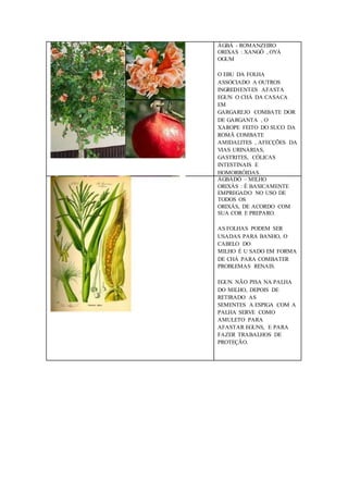 ÀGBÁ - ROMANZEIRO
ORIXAS : XANGÔ , OYÁ
OGUM
O EBU DA FOLHA
ASSOCIADO A OUTROS
INGREDIENTES AFASTA
EGUN O CHÁ DA CASACA
EM
GARGAREJO COMBATE DOR
DE GARGANTA , O
XAROPE FEITO DO SUCO DA
ROMÃ COMBATE
AMIDALITES , AFECÇÕES DA
VIAS URINÁRIAS,
GASTRITES, CÓLICAS
INTESTINAIS E
HOMORRÓIDAS.
ÀGBÀDÓ – MILHO
ORIXÁS : É BASICAMENTE
EMPREGADO NO USO DE
TODOS OS
ORIXÁS, DE ACORDO COM
SUA COR E PREPARO.
AS FOLHAS PODEM SER
USADAS PARA BANHO, O
CABELO DO
MILHO É U SADO EM FORMA
DE CHÁ PARA COMBATER
PROBLEMAS RENAIS.
EGUN NÃO PISA NA PALHA
DO MILHO, DEPOIS DE
RETIRADO AS
SEMENTES A ESPIGA COM A
PALHA SERVE COMO
AMULETO PARA
AFASTAR EGUNS, E PARA
FAZER TRABALHOS DE
PROTEÇÃO.
 
