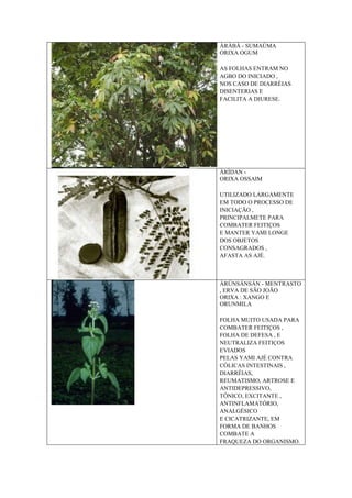 ÀRÀBÀ - SUMAÚMA
ORIXA OGUM
AS FOLHAS ENTRAM NO
AGBO DO INICIADO ,
NOS CASO DE DIARRÉIAS
DISENTERIAS E
FACILITA A DIURESE.
ÀRÌDAN -
ORIXA OSSAIM
UTILIZADO LARGAMENTE
EM TODO O PROCESSO DE
INICIAÇÃO ,
PRINCIPALMETE PARA
COMBATER FEITIÇOS
E MANTER YAMI LONGE
DOS OBJETOS
CONSAGRADOS ,
AFASTA AS AJÉ.
ÀRÚNSÁNSÁN - MENTRASTO
, ERVA DE SÃO JOÃO
ORIXA : XANGO E
ORUNMILA
FOLHA MUITO USADA PARA
COMBATER FEITIÇOS ,
FOLHA DE DEFESA , E
NEUTRALIZA FEITIÇOS
EVIADOS
PELAS YAMI AJÉ CONTRA
CÓLICAS INTESTINAIS ,
DIARRÉIAS,
REUMATISMO, ARTROSE E
ANTIDEPRESSIVO,
TÔNICO, EXCITANTE ,
ANTINFLAMATÓRIO,
ANALGÉSICO
E CICATRIZANTE, EM
FORMA DE BANHOS
COMBATE A
FRAQUEZA DO ORGANISMO.
 