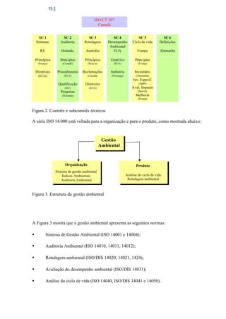 15
ISO/CT 207
Canadá
SC 1
Sistemas

SC 2
Auditoria

SC 3
Rotulagem

SC 5
Ciclo de vida

SC 6
Definições

Austrália

SC 4
Desempenho
Ambiental
EUA

RU

Holanda

França

Alemanha

Princípios
(França)

Princípios

Princípios

Genérico

Princípios

(Canadá)

(Suécia)

(EUA)

(França)

Diretrizes

Procedimento

Reclamações

Indústria

Inventário

(EUA)

(EUA)

(Canadá)

(Noruega)

(Alemanha)

Inv. Especif.
Qualificação

Diretrizes

(Japão)

(RU)

(EUA)

Aval. Impacto

Pesquisas

(Suécia)

(Holanda)

Melhoria
(França)

Figura 2. Comitês e subcomitês técnicos
A série ISO 14.000 está voltada para a organização e para o produto, como mostrada abaixo:

Gestão
Gestão
Ambiental
Ambiental

Organização
Organização

Produto
Produto

Sistema de gestão ambiental
Sistema de gestão ambiental
Índices Ambientais
Índices Ambientais
Auditoria Ambiental
Auditoria Ambiental

Análise do ciclo de vida
Análise do ciclo de vida
Rotulagem ambiental
Rotulagem ambiental

Figura 3. Estrutura da gestão ambiental

A Figura 3 mostra que a gestão ambiental apresenta as seguintes normas:
§

Sistema de Gestão Ambiental (ISO 14001 e 14004);

§

Auditoria Ambiental (ISO 14010, 14011, 14012);

§

Rotulagem ambiental (ISO/DIS 14020, 14021, 1424);

§

Avaliação do desempenho ambiental (ISO/DIS 14031);

§

Análise do ciclo de vida (ISO 14040, ISO/DIS 14041 e 14050).

 