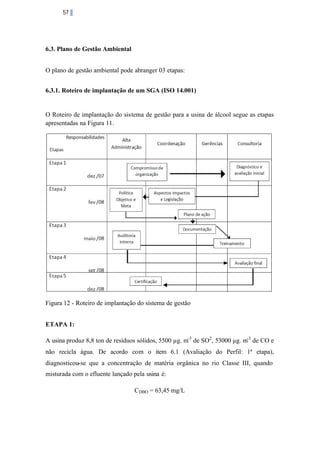 57

6.3. Plano de Gestão Ambiental
O plano de gestão ambiental pode abranger 03 etapas:
6.3.1. Roteiro de implantação de um SGA (ISO 14.001)

O Roteiro de implantação do sistema de gestão para a usina de álcool segue as etapas
apresentadas na Figura 11.

Figura 12 - Roteiro de implantação do sistema de gestão
ETAPA 1:
A usina produz 8,8 ton de resíduos sólidos, 5500 µg. m-3 de SO2 , 53000 µg. m-3 de CO e
não recicla água. De acordo com o item 6.1 (Avaliação do Perfil: 1ª etapa),
diagnosticou-se que a concentração de matéria orgânica no rio Classe III, quando
misturada com o efluente lançado pela usina é:
CDBO = 63,45 mg/L

 