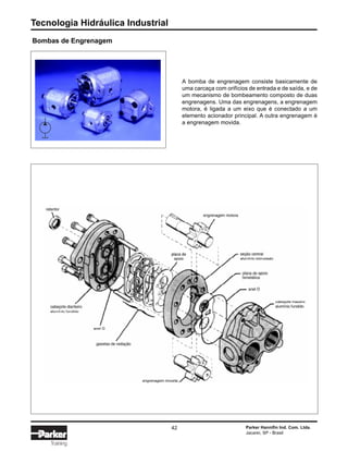 Tecnologia Hidráulica Industrial
42 Parker Hannifin Ind. Com. Ltda.
Jacareí, SP - Brasil
Training
Bombas de Engrenagem
A bomba de engrenagem consiste basicamente de
uma carcaça com orifícios de entrada e de saída, e de
um mecanismo de bombeamento composto de duas
engrenagens. Uma das engrenagens, a engrenagem
motora, é ligada a um eixo que é conectado a um
elemento acionador principal. A outra engrenagem é
a engrenagem movida.
 