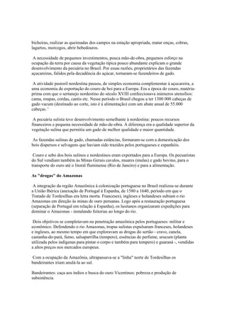 bicheiras, realizar as queimadas dos campos na estação apropriada, matar onças, cobras,
lagartos, morcegos, abrir bebedouros.

 A necessidade de pequenos investimentos, pouca mão-de-obra, pequenos esforço na
ocupação da terra por causa da vegetação típica pouco abundante explicam o grande
desenvolvimento da pecuária no Brasil. Por essas razões, proprietários das fazendas
açucareiras, falidos pela decadência do açúcar, tornaram-se fazendeiros de gado.

 A atividade pastoril nordestina passou, de simples economia complementar à açucareira, a
uma economia de exportação do couro de boi para a Europa. Era a época do couro, matéria-
prima com que o sertanejo nordestino do século XVIII confeccionava inúmeros utensílios:
cama, roupas, cordas, cantis etc. Nesse período o Brasil chegou a ter 1300 000 cabeças de
gado vacum (destinado ao corte, isto é à alimentação) com um abate anual de 55.000
cabeças. '

 A pecuária sulista teve desenvolvimento semelhante à nordestina: poucos recursos
financeiros e pequena necessidade de mão-de-obra. A diferença era a qualidade superior da
vegetação sulina que permitia um gado de melhor qualidade e maior quantidade.

 As fazendas sulinas de gado, chamadas estâncias, formaram-se com a domesticação dos
bois dispersos e selvagens que haviam sido trazidos pelos portugueses e espanhóis.

 Couro e sebo dos bois sulinos e nordestinos eram exportados para a Europa. Os pecuaristas
do Sul vendiam também às Minas Gerais cavalos, muares (mulas) e gado bovino, para o
transporte do ouro até o litoral fluminense (Rio de Janeiro) e para a alimentação.

As "drogas" do Amazonas

 A integração da região Amazônica à colonização portuguesa no Brasil realizou-se durante
a União Ibérica (anexação de Portugal à Espanha, de 1580 a 1640, período em que o
Tratado de Tordesilhas era letra morta. Franceses), ingleses e holandeses subiam o rio
Amazonas em direção às minas de ouro peruanas. Logo após a restauração portuguesa
(separação de Portugal em relação à Espanha), os lusitanos organizaram expedições para
dominar o Amazonas - instalando feitorias ao longo do rio.

 Dois objetivos se completavam na penetração amazônica pelos portugueses: militar e
econômico. Defendendo o rio Amazonas, tropas sulistas expulsaram franceses, holandeses
e ingleses, ao mesmo tempo em que exploravam as drogas do sertão - cravo, canela,
castanha-do-pará, fumo, salsaparrilha (tempero), essências de perfume, urucum (planta
utilizada pelos indígenas para pintar o corpo e também para tempero) e guaraná -, vendidas
a altos preços nos mercados europeus.

Com a ocupação da Amazônia, ultrapassava-se a "linha" norte de Tordesilhas os
bandeirantes iriam anulá-la ao sul.

Bandeirantes: caça aos índios e busca do ouro Vicentinos: pobreza e produção de
subsistência.
 