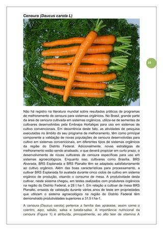 10
Cenoura (Daucus carota L)
Não há registro na literatura mundial sobre resultados práticos de programas
de melhoramento de cenoura para sistemas orgânicos. No Brasil, grande parte
da área de cenoura cultivada em sistemas orgânicos, utiliza-se de sementes de
cultivares desenvolvidas pela Embrapa Hortaliças para uso em sistemas de
cultivo convencionais. Em decorrência deste fato, as atividades de pesquisa
executadas no âmbito do seu programa de melhoramento, têm como principal
componente a validação de novas populações de cenoura desenvolvidas para
cultivo em sistemas convencionais, em diferentes tipos de sistemas orgânicos
da região do Distrito Federal. Adicionalmente, novas estratégias de
melhoramento estão sendo analisado, o que deverá propiciar em curto prazo, o
desenvolvimento de novas cultivares de cenoura específicas para uso em
sistemas agroecológicos. Enquanto isso, cultivares como Brasília, BRS
Alvorada, BRS Esplanada e BRS Planalto têm se adaptado satisfatoriamente
ao cultivo orgânico. Além das boas características para processamento, a
cultivar BRS Esplanada foi avaliada durante cinco ciclos de cultivo em sistema
orgânico de produção, visando o consumo de mesa. A produtividade desta
cultivar, neste sistema chegou, em testes realizados com produtores orgânicos
na região do Distrito Federal, a 28 t ha-1. Em relação a cultivar de mesa BRS
Planalto, ensaios de validação durante vários anos de teste em propriedades
que utilizam o sistema agroecológico na região do Distrito Federal têm
demonstrado produtividades superiores a 31,5 t ha-1.
A cenoura (Daucus carota), pertence a família das apiaceae, assim como o
coentro, aipo, salsão, salsa e batata-salsa. A importância nutricional da
cenoura (Figura 1) é atribuída, principalmente, ao alto teor de vitamina A
 