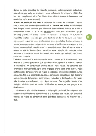 13
d'água no solo, seguidos de irrigação excessiva, podem provocar rachaduras
nas raízes que pode ser agravado com a deficiência de boro e/ou cálcio. Por
isso, recomendam-se irrigações diárias leves até a emergência da cenoura (até
os 40 dias após a semeadura).
Manejo de doenças e pragas: é resistente às pragas. As principais doenças
são: queima das folhas e podridão mole. A Queima das folhas é causada por
dois fungos e uma bactéria que aparecem com umidade relativa do ar alta e
temperatura entre 24 e 28 ºC. Manejo: usar cultivares resistentes (grupo
Brasília); plantio em locais enxutos e ventilados e rotação de culturas. A
Podridão mole é causada por uma bactéria ainda na lavoura. As raízes
apresentam pequenas áreas encharcadas e sob condições de altas umidade e
temperatura, aumentam rapidamente, tornando o tecido mole e pegajoso e com
cheiro desagradável, ocasionando o amarelecimento das folhas, a seca e
morte da planta. Manejo: fazer canteiros altos; rotação de culturas; evitar
terrenos encharcados; evitar ferimentos nas raízes, por ocasião dos tratos
culturais e colheita.
Colheita: a colheita é realizada entre 85 e 110 dias após a semeadura. Não
retardar a colheita para evitar que se tornem muito grossas e fibrosas, sujeitas
à rachaduras. O consumidor prefere raízes mais novas. As cenouras são
arrancadas manualmente, após uma irrigação prévia para evitar danos. Após
as folhas são cortadas rente às raízes e colocadas em caixas plásticas. Ainda
no campo, faz-se a separação das raízes comerciais daquelas do tipo descarte
(raízes laterais, bifurcadas, apodrecidas, rachadas e danificadas). As raízes
são lavadas, manualmente, com água corrente. Em seguida, faz-se nova
seleção, eliminando-se as raízes danificadas por doenças e/ou pragas e as
defeituosas.
As cenouras são lavadas e secas o mais rápido possível. Em seguidas são
classificadas conforme o comprimento e o diâmetro das raízes. Em ambiente
natural, as raízes se conservam com qualidade adequada, no máximo até 7
dias.
 