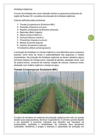2
Hortaliças Orgânicas
O curso de hortaliças tem como intenção orientar os pequenos produtores da
região de Russas CE, na pratica de produção de hortaliças orgânicas.
Culturas definidas pelos produtores:
1- Tomate (Licopersycum Sculentum Mill.).
2- Pimentão (Capsicum annuum)
3- Repolho (subespécie da Brassica oleracea)
4- Beterraba (Beta Vulgaris)
5- Alface (Lectuca Sativa L)
6- Cenoura (Daucus carota L)
7- Pimentinha (Capsicum annum)
8- Maxixe (Cucumis anguria)
9- Coentro (Coriandrum sativum)
10-Cebolinha (Allium schoenoprasum)
A produção de hortaliças no manejo orgânico é uma alternativa para o pequeno
produtor como fonte de renda e sustentabilidade das pequenas e medias
propriedades. Na produção de hortaliças orgânicas se devem obedecer alguns
princípios básicos de manejo como: coquetel de plantas, adubação verde, usar
de quebra-ventos, consorcio de culturas, rotação de culturas, cobertura morta,
adubação com matéria orgânica e manejo da agua.
Tomate (Licopersycum Sculentum Mill.)
O cultivo do tomateiro em sistemas de produção orgânicos tem sido um grande
desafio para pesquisadores, técnicos e agricultores. O primeiro grande desafio
a ser superado é encontrar cultivares que atendam aos requisitos da
produtividade, qualidade e rentabilidade. As cultivares deve apresentar
rusticidade, resistência a pragas e doenças e capacidade de produção em
 