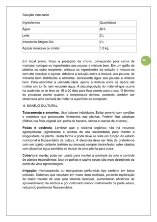 28
Solução inoculante
Ingredientes Quantidade
Água 60 L
Leite 2 L
Inoculante Shigeo Doi 2 L
Açúcar mascavo ou cristal 1,5 kg
Em local plano, limpo e protegido de chuva, começando pela cama de
matrizes, coloque os ingredientes aos poucos e misture bem. Em um galão de
plástico ou outro recipiente, coloque os ingredientes da solução e misture-os
bem até dissolver o açúcar. Adicione a solução sobre a mistura, aos poucos, de
maneira bem distribuída e uniforme. Acrescente água aos poucos e misture
bem. Para encontrar a umidade ideal, aperte a mistura entre os dedos até
moldar um torrão sem escorrer água. A decomposição do material que ocorre
na ausência de ar leva de 15 a 20 dias para ficar pronto para o uso. O término
do processo ocorre quando a temperatura diminui, podendo também ser
observada uma camada de mofo na superfície do composto.
6. MANEJO CULTURAL
Tutoramento e amarrios. Usar tutores individuais. Evitar amarrio com cordões
e materiais que provoquem ferimentos nas plantas. Preferir fitas plásticas
(fitilhos) ou fibra vegetal (ex: palha de banana, imbira e cascas de arvores).
Podas e desbrota. Lembrar que o sistema orgânico não há recursos
agroquímicos (agrotóxicos e adubos de alta solubilidade) para manter a
longevidade da planta. Desta forma a poda deve se feita em função do estado
nutricional e fitossanitário da cultura. A desbrota deve ser feita de preferência
com um objeto cortante (estilete ou tesoura) sempre desinsfestar estes objetos
com álcool ou água sanitária ao mudar de uma planta para outra.
Cobertura morta: pode ser usada para manter a umidade do solo e controle
de plantas espontâneas: Uso de palhas e capins secos são mais desejáveis do
ponto de vista agroecológico.
Irrigação: microaspersão ou mangueiras perfuradas tipo santeno em baixa
pressão. Sistemas que resultam em maior área molhada, portanto exploração
de maior volume de solo pelo sistema radicular, aumentando eficiência de
aproveitamento de adubos e por outro lado menor molhamento da parte aérea,
reduzindo problemas fitossanitários.
 