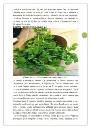 31
dosagens mais fortes (até 1%) para aplicações em hortas. Seu uso deve ser
repetido após chuvas ou irrigação. Usar luvas ao manipular a pimenta e
vestimenta de proteção ao aplicar o extrato. Quando utilizar este extrato em
hortaliças folhosas e hortaliças-frutos, deve-se obedecer um período de
carência mínima de 12 dias da colheita para evitar a obtenção de frutos e
folhas com forte odor.
Coentro (Coriandrum sativum L.)
O coentro (Coriandrum sativum L.), pertencente a família botânica das
Umbelliferae (aipo e batata-salsa), é originário da Costa do Mediterrâneio (Sul
da Europa, Oriente Médio e África do Norte). É uma planta anual, herbácea,
com caule cilíndrico, estriado e pouco ramificado, que pode atingir de 0,70 a 1
m de comprimento. As folhas são de coloração verde-brilhante que exalam um
aroma forte e fétido quando esmagadas, lembrando o cheiro exalado por
percevejos O florescimento ocorre entre a primavera e o verão.
Principais usos: O coentro, também chamado de coentro-das-hortas, é um
excelente condimento, de uso generalizado não só no Brasil como em quase
todo o mundo, sendo particularmente utilizado para temperar peixes. Suas
sementes são ricas em retinol, tiamina, riboflavina, niacina, cálcio, fósforo, ferro
e ácido ascórbico. Nos frutos, encontramos também vitamina C.
O coentro pode ser encontrado na forma de ramos, grãos ou em pó. Pode ser
empregado para temperar carnes, sopas, legumes, patês, biscoitos, pães,
 