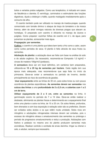 32
bolos e variados pratos salgados. Como uso terapêutico, é indicado em casos
de flatulência e diarréia. É vermífugo, carminativo e estimulante das funções
digestivas. Ajuda a disfarçar o hálito, quando mastigado imediatamente após o
consumo de alho.
O coentro também pode ser utilizado no manejo de insetos-pragas: quando
consorciado com tomate diminui o ataque da traça do tomateiro e da mosca
branca, além de atrair inimigos naturais de diversas pragas que atacam as
hortaliças. O preparado com coentro é eficiente no manejo de ácaros e
pulgões. Como preparar: cozinhar folhas de coentro em 2 L de água; para
pulverizar as plantas, acrescentar mais água.
Propagação: por sementes.
Cultivo: o coentro é uma planta que tolera bem tanto o frio como o calor, assim
como curtos períodos de seca. O plantio é feito através de seus frutos ou
sementes.
Adubação de plantio: a adubação deve ser feita com base na análise do solo
e do adubo orgânico. Se necessário, recomenda-se Composto 1,0 kg/m2 +
cinzas de madeira 100gr/m2 (potássio).
A semeadura deve ser em local definitivo, em canteiros bem preparados,
utilizando-se 15 a 25 kg de sementes por hectare. Cada região tem sua
época mais adequada, mas recomenda-se que seja feita no início da
primavera. Deve-se evitar a semeadura no período de inverno, devido
principalmente ao risco de ocorrência de geadas.
Usar espaçamento entre as linhas de 30 cm, para solos livres ou com pouca
ocorrência de plantas espontâneas. As sementes devem ser semeadas nos
sulcos das linhas a uma profundidade de 2 a 2,5 cm, e cobertas com 1 a 2
cm de terra.
Utilizar espaçamento de 2 a 5 cm, entre as sementes na linha. A
germinação ocorre no período de 7 a 14 dias. Deve-se então realizar o
desbaste, eliminando as plantas fracas e determinando-se o espaçamento final
entre uma planta e outra na linha, de 15 a 25 cm. Os solos férteis, profundos,
bem drenados e com boa exposição à radiação solar são os preferidos. Devem
ser evitados solos ácidos e os que retêm muita umidade. Solos ricos em
nitrogênio e adubações nitrogenadas intensas devem ser evitadas, pois o
excesso de nitrogênio atrasa o amadurecimento das sementes ou prolonga o
período de progressivo amadurecimento e reduz a produção. Adubações com
fósforo e potássio no mesmo ano do plantio produzem sementes mais
aromáticas. Realizar controle e combate de ervas daninha. Irrigar ou drenar o
solo, e adubar, sempre que necessário.
 