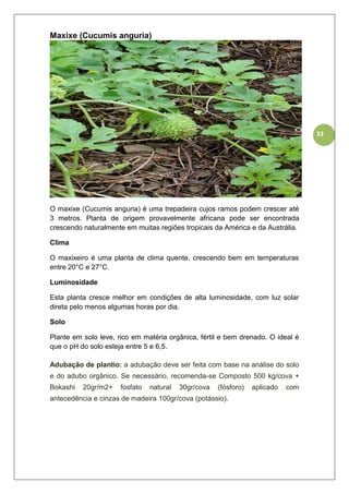 33
Maxixe (Cucumis anguria)
O maxixe (Cucumis anguria) é uma trepadeira cujos ramos podem crescer até
3 metros. Planta de origem provavelmente africana pode ser encontrada
crescendo naturalmente em muitas regiões tropicais da América e da Austrália.
Clima
O maxixeiro é uma planta de clima quente, crescendo bem em temperaturas
entre 20°C e 27°C.
Luminosidade
Esta planta cresce melhor em condições de alta luminosidade, com luz solar
direta pelo menos algumas horas por dia.
Solo
Plante em solo leve, rico em matéria orgânica, fértil e bem drenado. O ideal é
que o pH do solo esteja entre 5 e 6,5.
Adubação de plantio: a adubação deve ser feita com base na análise do solo
e do adubo orgânico. Se necessário, recomenda-se Composto 500 kg/cova +
Bokashi 20gr/m2+ fosfato natural 30gr/cova (fósforo) aplicado com
antecedência e cinzas de madeira 100gr/cova (potássio).
 