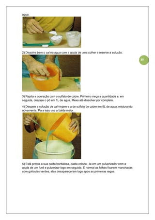39
agua.
2) Dissolva bem o cal na agua com a ajuda de uma colher e reserve a solução.
3) Repita a operação com o sulfato de cobre. Primeiro meça a quantidade e, em
seguida, despeje o pó em 1L de agua. Mexa até dissolver por completo.
4) Despeje a solução de cal virgem e a de sulfato de cobre em 8L de agua, misturando
novamente. Para isso use o balde maior.
5) Está pronta a sua calda bordalesa, basta coloca - la em um pulverizador com a
ajuda de um funil e pulverizar logo em seguida. É normal as folhas ficarem manchadas
com goticulas verdes, elas desapareceram logo apos as primeiras regas.
 