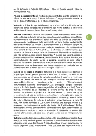 5
ou 1,6 kg/planta + Bokashi 100gr/planta + 30gr de fosfato natural + 20gr de
Algen (cálcio e Mg).
Plantio e espaçamento: as mudas são transplantadas quando atingirem 10 a
12 cm de altura e com 4 a 5 folhas definitivas. O espaçamento indicado é de
1,2 a 1,5m entre fileiras por 0,4 a 0,5m entre plantas.
Irrigação: a irrigação por gotejamento é a mais indicada. O sistema de
aspersão é contra-indicado para o tomateiro, pois molha as folhas e umedece o
ambiente em torno das plantas, favorecendo a requeima.
Práticas culturais: a capina é realizada em faixas, mantendo-se limpo a área
junto às fileiras de tomate para evitar competição com as plantas espontâneas
ou de cobertura. Nas entrelinhas, deixar uma faixa de plantas de cobertura e,
se necessário, roçá-las para evitar competição por luz e facilitar a pulverização
das folhas baixeiras do tomate. O tutoramento ideal é o vertical e, sempre no
sentido norte-sul para permitir maior insolação das plantas. Não recomenda-se
o tutoramento tradicional ("V" invertido), pois é formada uma câmara úmida que
favorece os fungos e ainda torna os tratamentos fitossanitários ineficientes,
pois não atingem a parte interna das plantas. À medida que a planta cresce, é
preciso fazer amarrios e desbrotas, semanalmente. Para evitar o ferimento e o
estrangulamento do caule, faz-se o amarrio, deixando-se uma folga. A
desbrota consiste em eliminar todos os brotos que saem das axilas da plantas,
deixando-se uma ou duas hastes por planta; não deve ser realizada com as
plantas molhadas, evitando-se a disseminação de doenças.
Manejo de doenças e pragas: o tomateiro é o mais atacado por doenças e
pragas que causam perdas parciais e até totais da lavoura. No entanto, se
forem seguidos os princípios da agricultura orgânica, é possível prevenir e/ou
reduzir os danos na lavoura. As principais doenças são: requeima ou
sapeco (Phytophthora infestans), pinta preta (Alternaria solani)
e murchadeira (Ralstonia solanacearum). As principais pragas são:broca
pequena do fruto (Neulocinodes elegantalis) e traça (Tuta absoluta). Para o
manejo, recomenda-se as medidas: a) escolha correta da área; b) evitar
plantios escalonados e próximos a lavouras velhas; c) plantio na época
recomendada; d) uso de cultivares resistentes; e) adubação com base na
análise do solo;f) arranquio e destruição de plantas viróticas; g) destruir restos
da cultura; h) rotação de culturas; i) pulverizar, preventivamente, a cada 10
dias, com calda bordalesa a 0,5 %,para o manejo das doenças foliares e j)
pulverizar preventivamente,a partir do início da frutificação,com Bacillus
thuringiensis, produto comercialmente conhecido como dipel, para o manejo da
broca pequena do fruto e traça do tomateiro. O consórcio de tomate com
coentro (planta repelente) reduz estas pragas e, ainda atrai os inimigos naturais
destas.
Colheita: a colheita inicia quando os frutos estão amarelados ou rosados. Para
mercados mais próximos podem ser colhidos num estádio de maturação mais
adiantado, mas ainda bem firmes. A calda bordalesa, embora seja tolerada no
cultivo orgânico, possui carência de 7 dias que deve ser respeitada, Para a
 